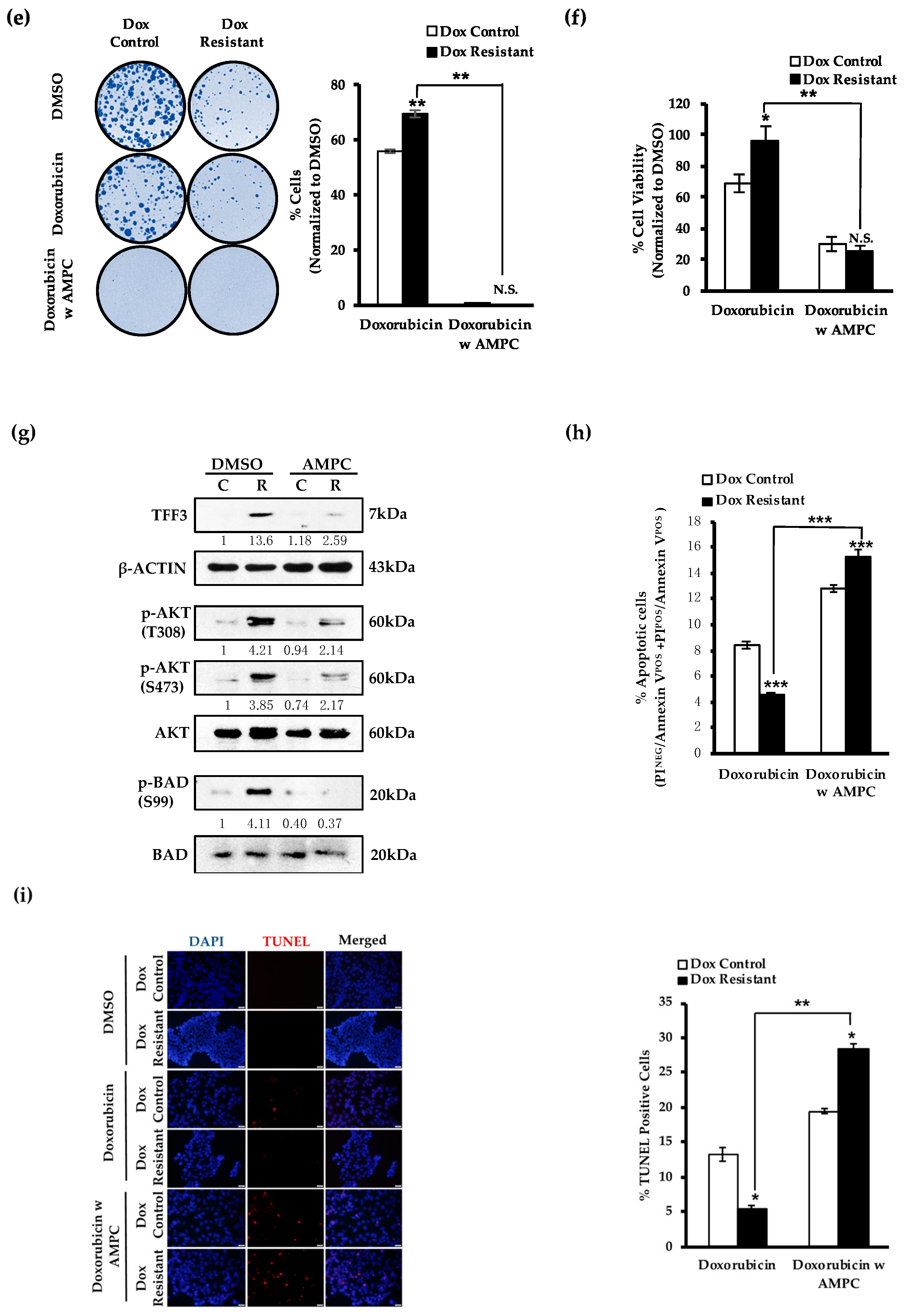 Cancers 11 01528 g005b