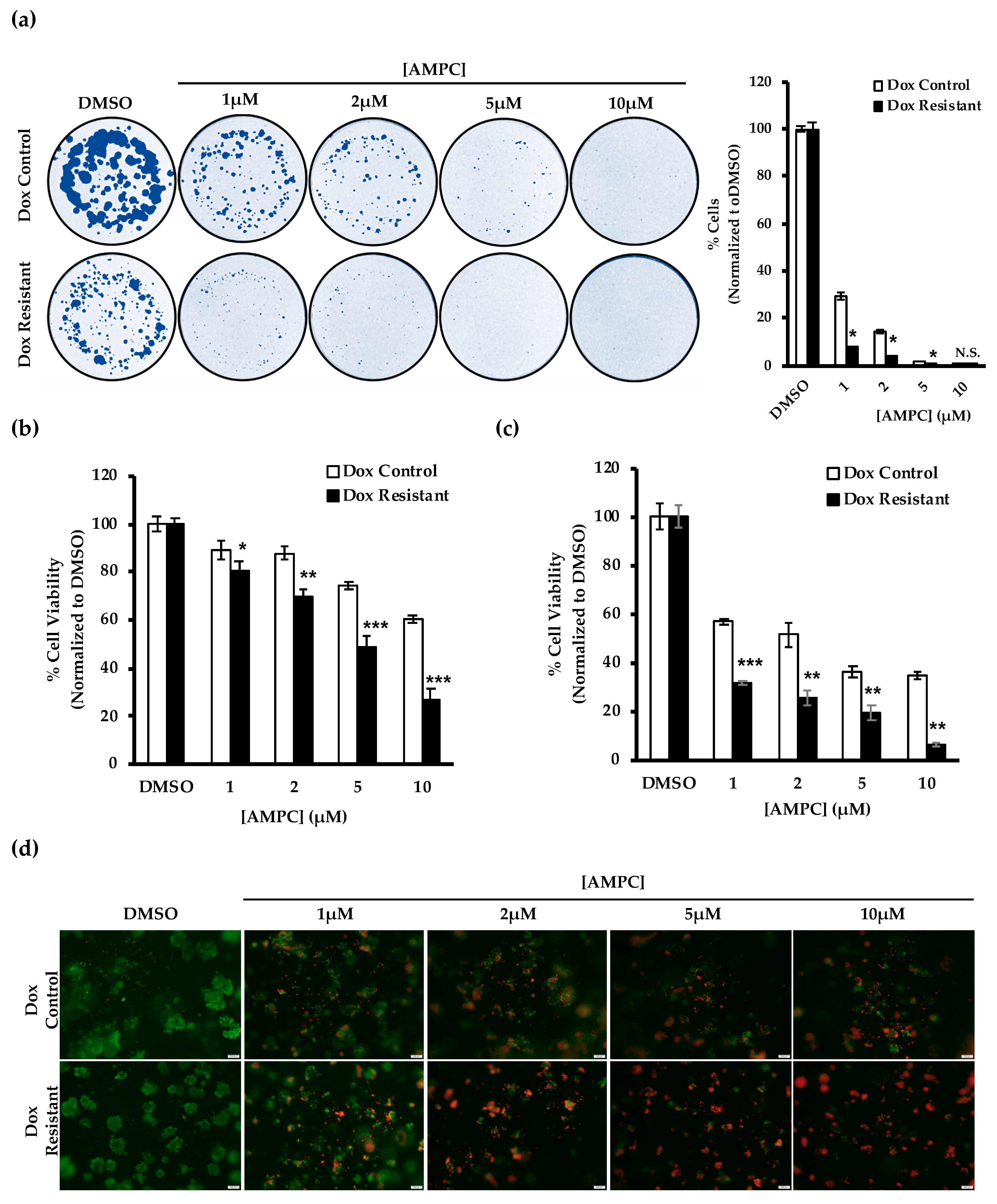 Cancers 11 01528 g006
