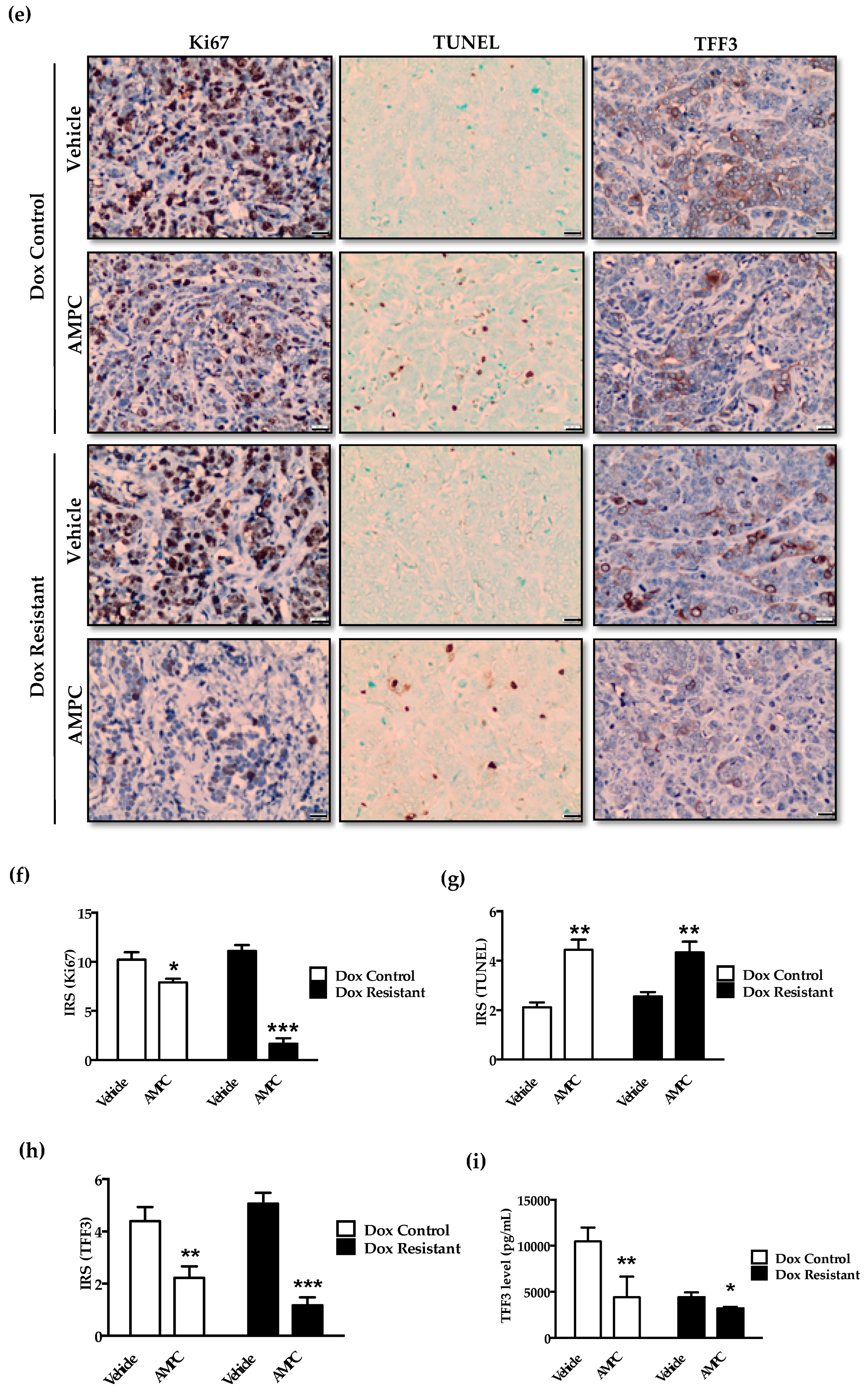 Cancers 11 01528 g007b