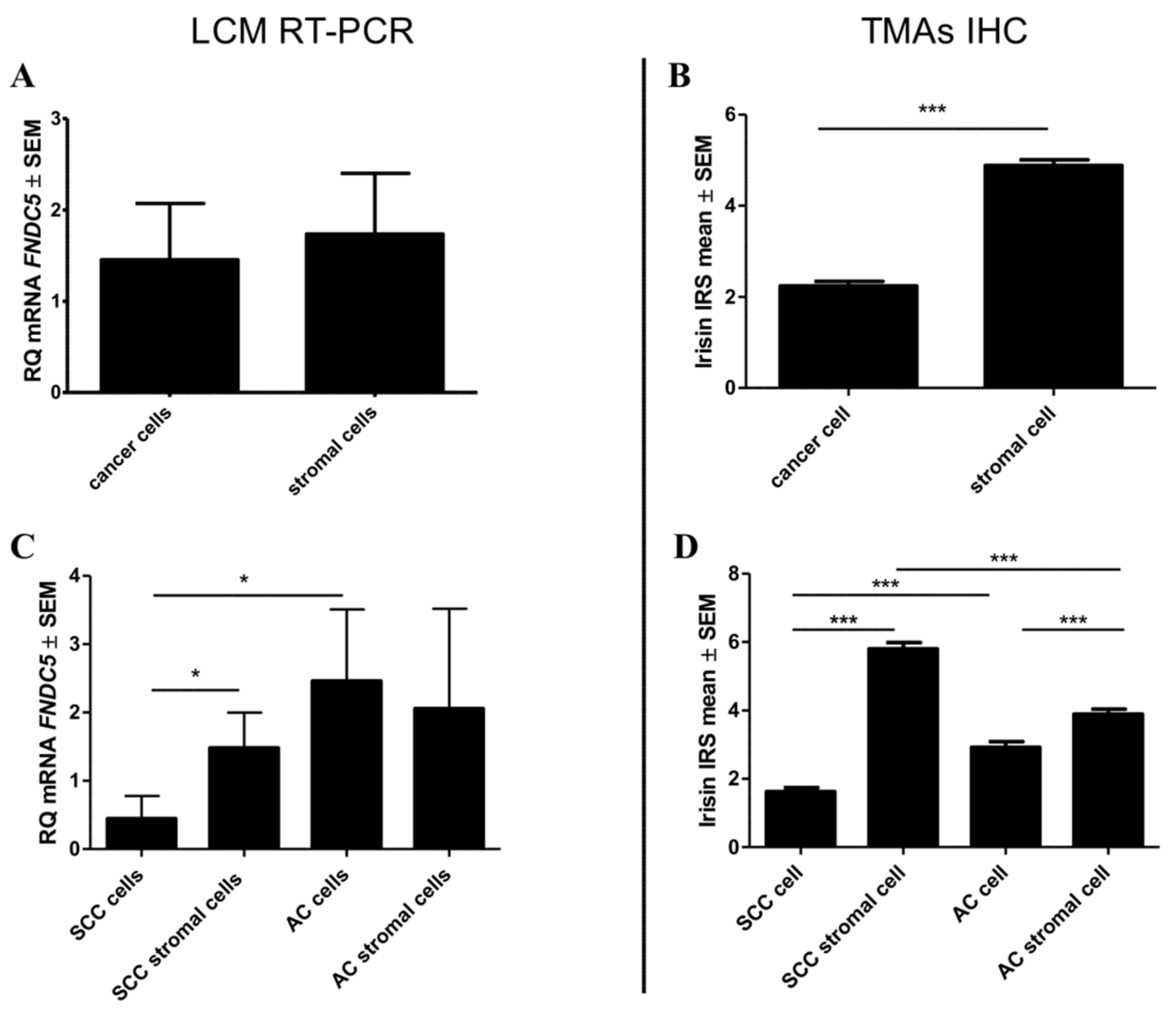 Cancers 11 01538 g003
