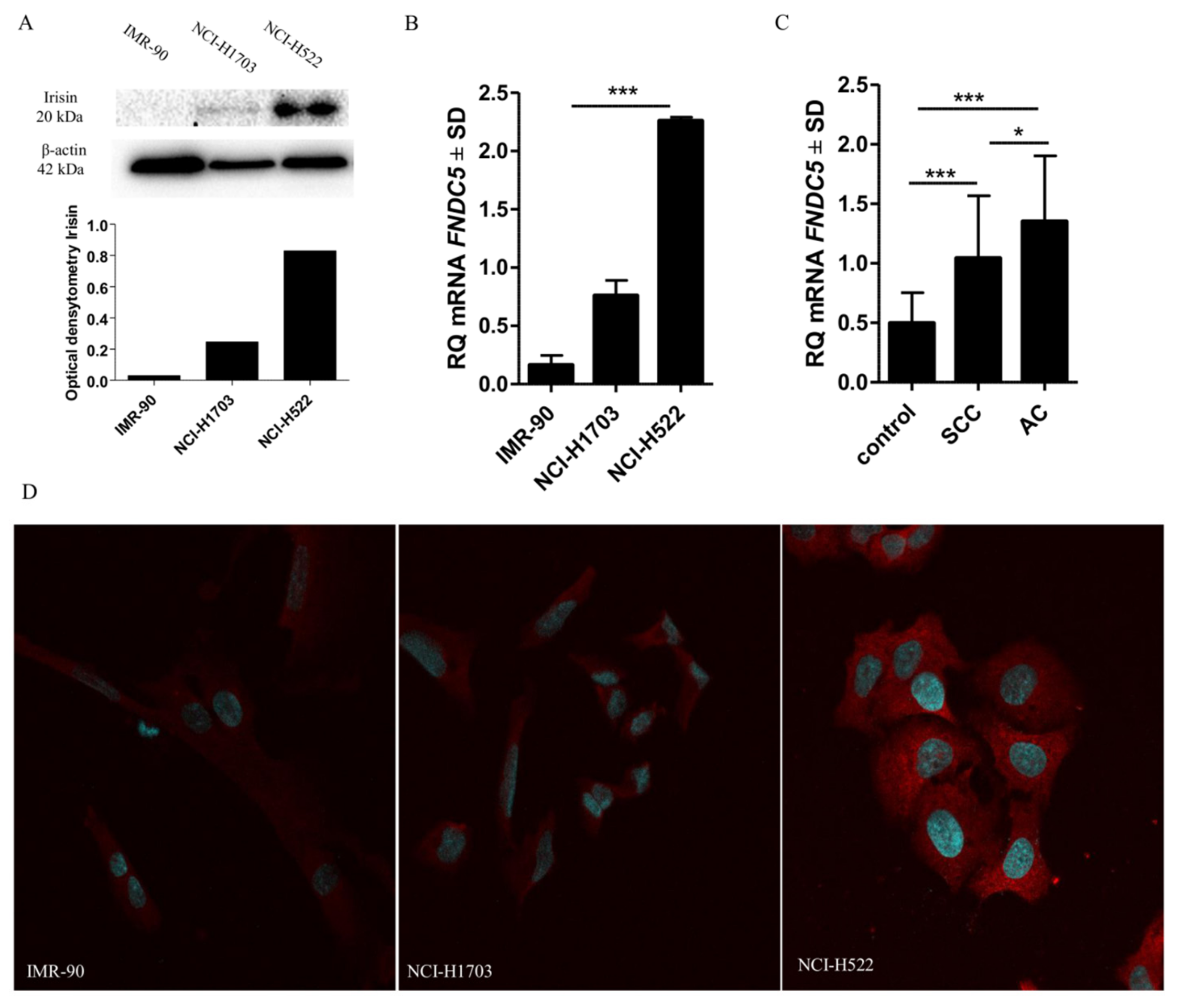 Cancers 11 01538 g004