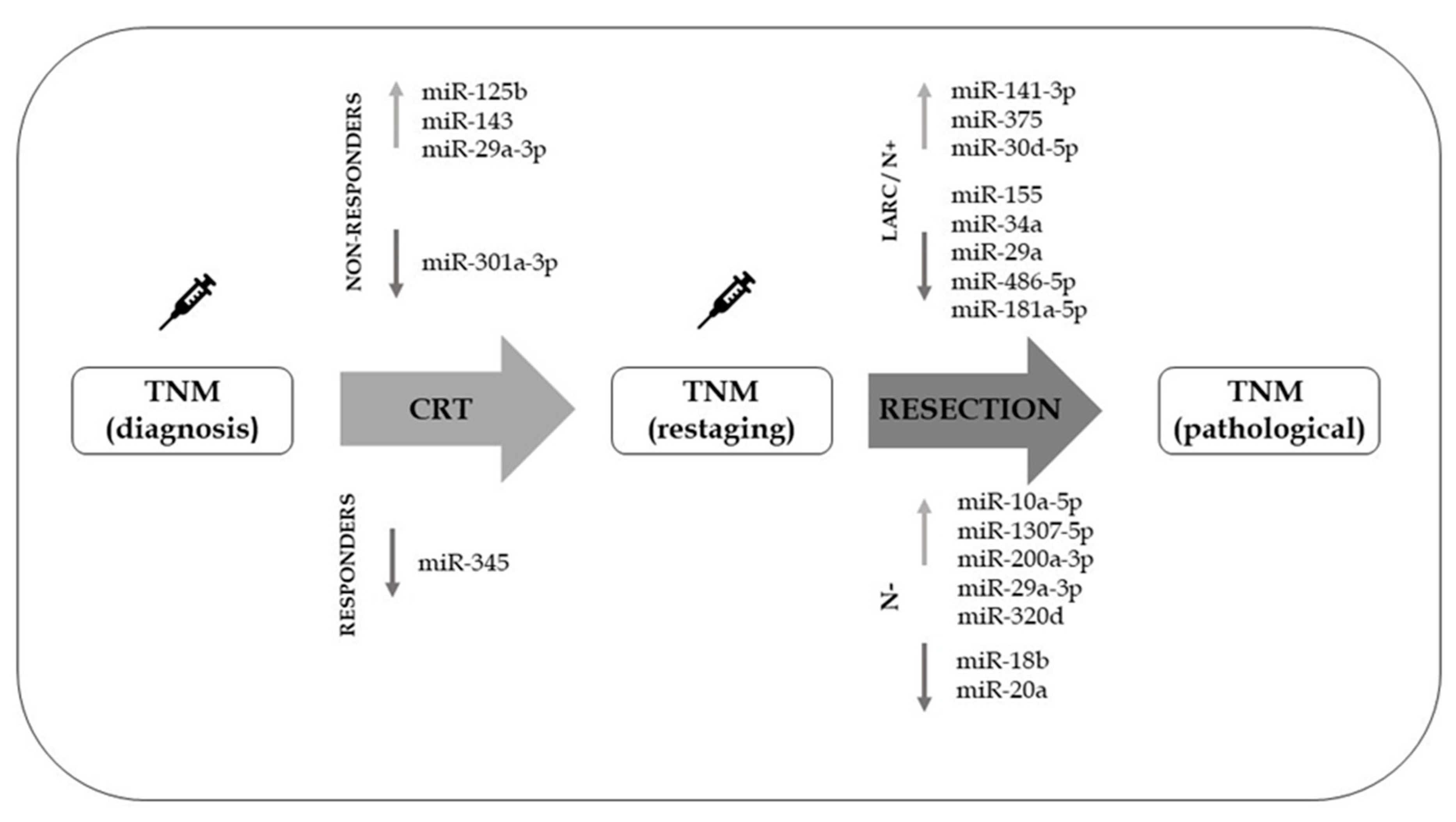 Cancers 11 01545 g001