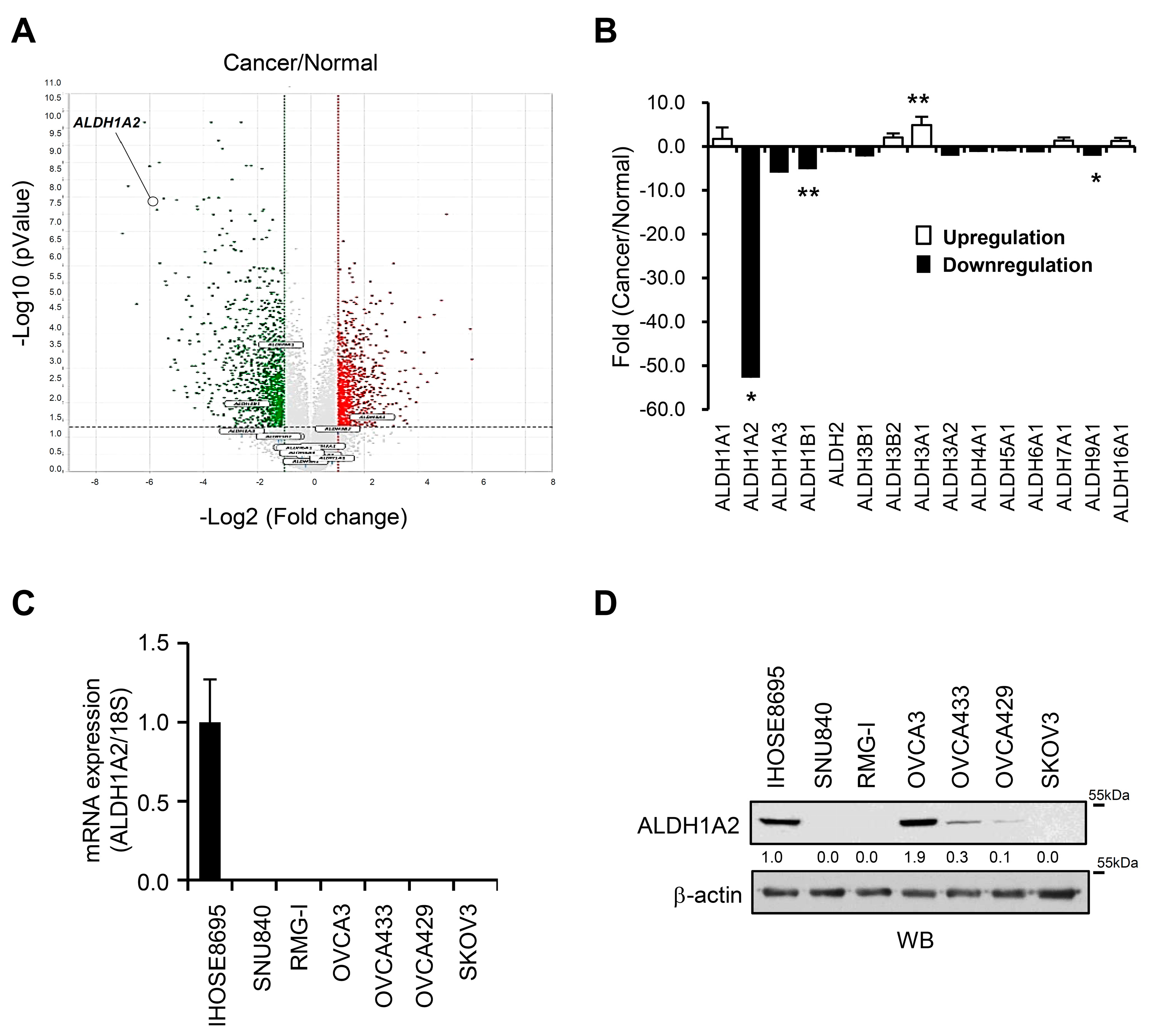 Cancers 11 01553 g001