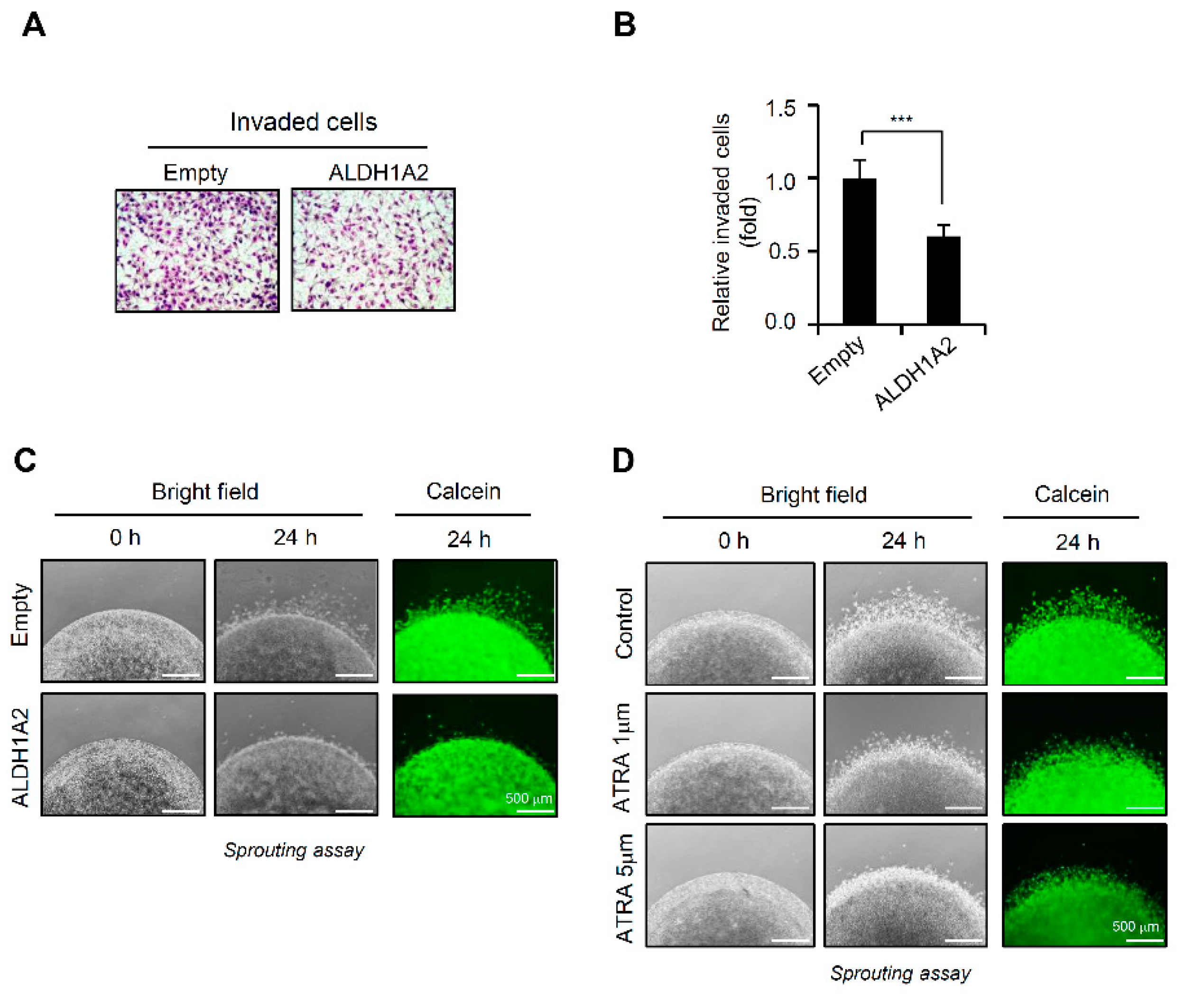 Cancers 11 01553 g005