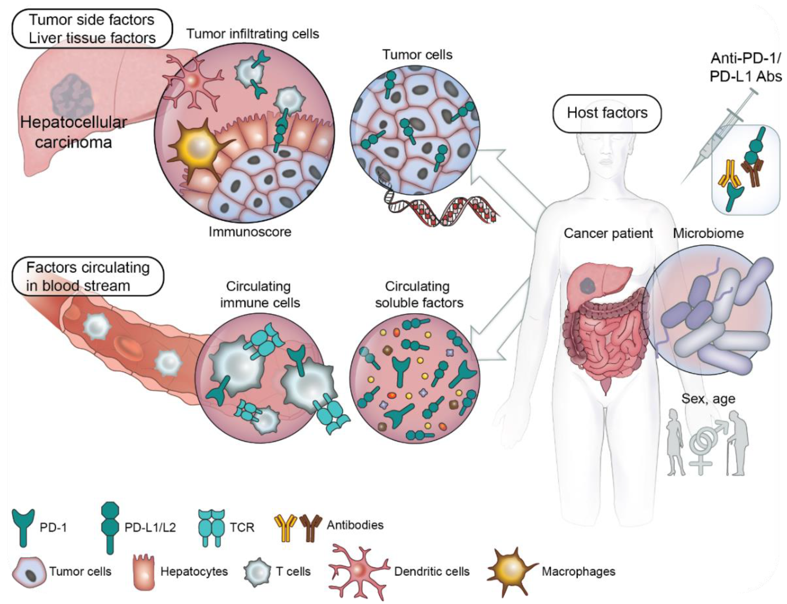 Cancers 11 01554 g001