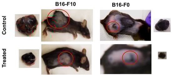 Cancers 11 01556 g0a2