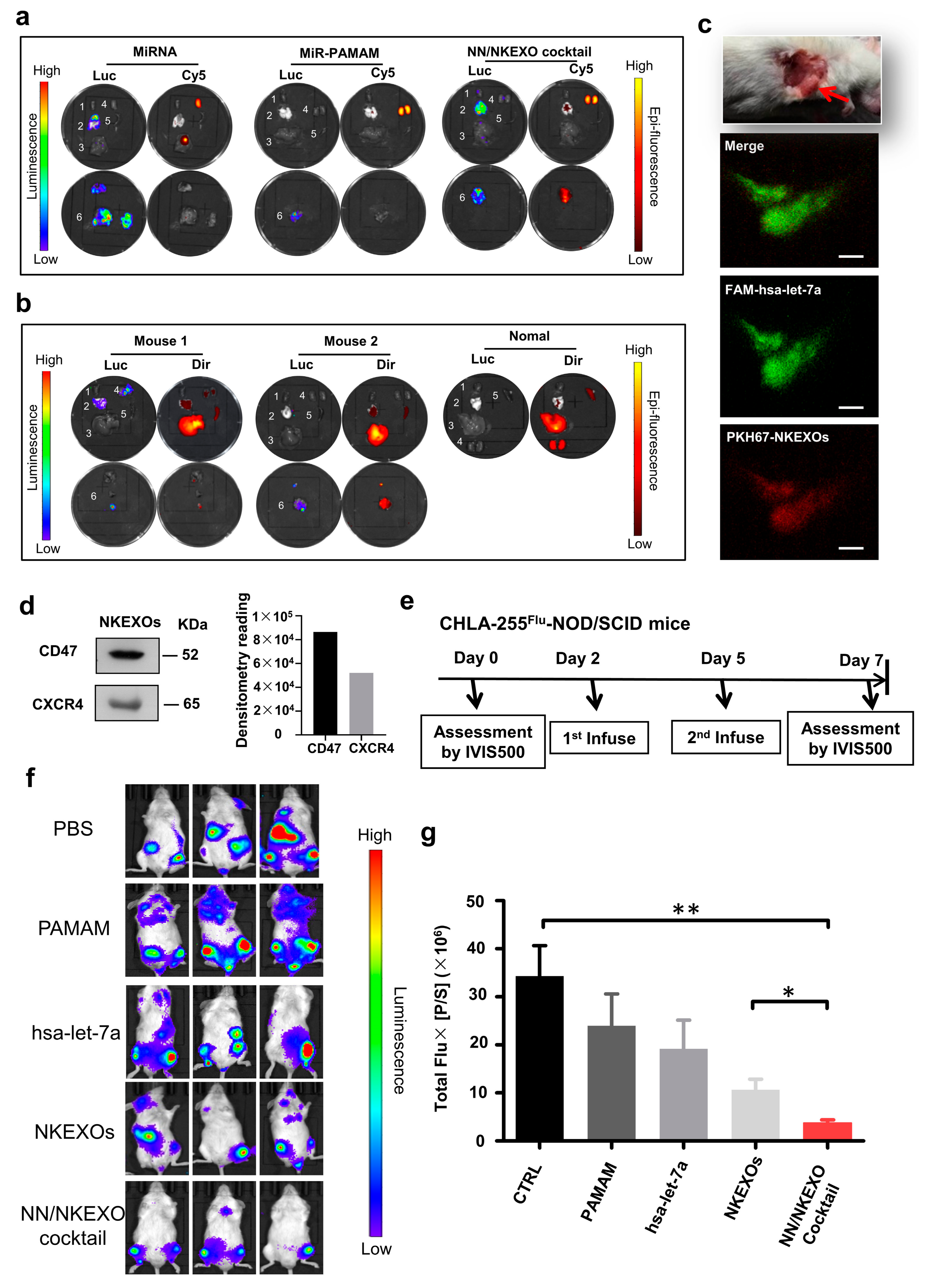 Cancers 11 01560 g004