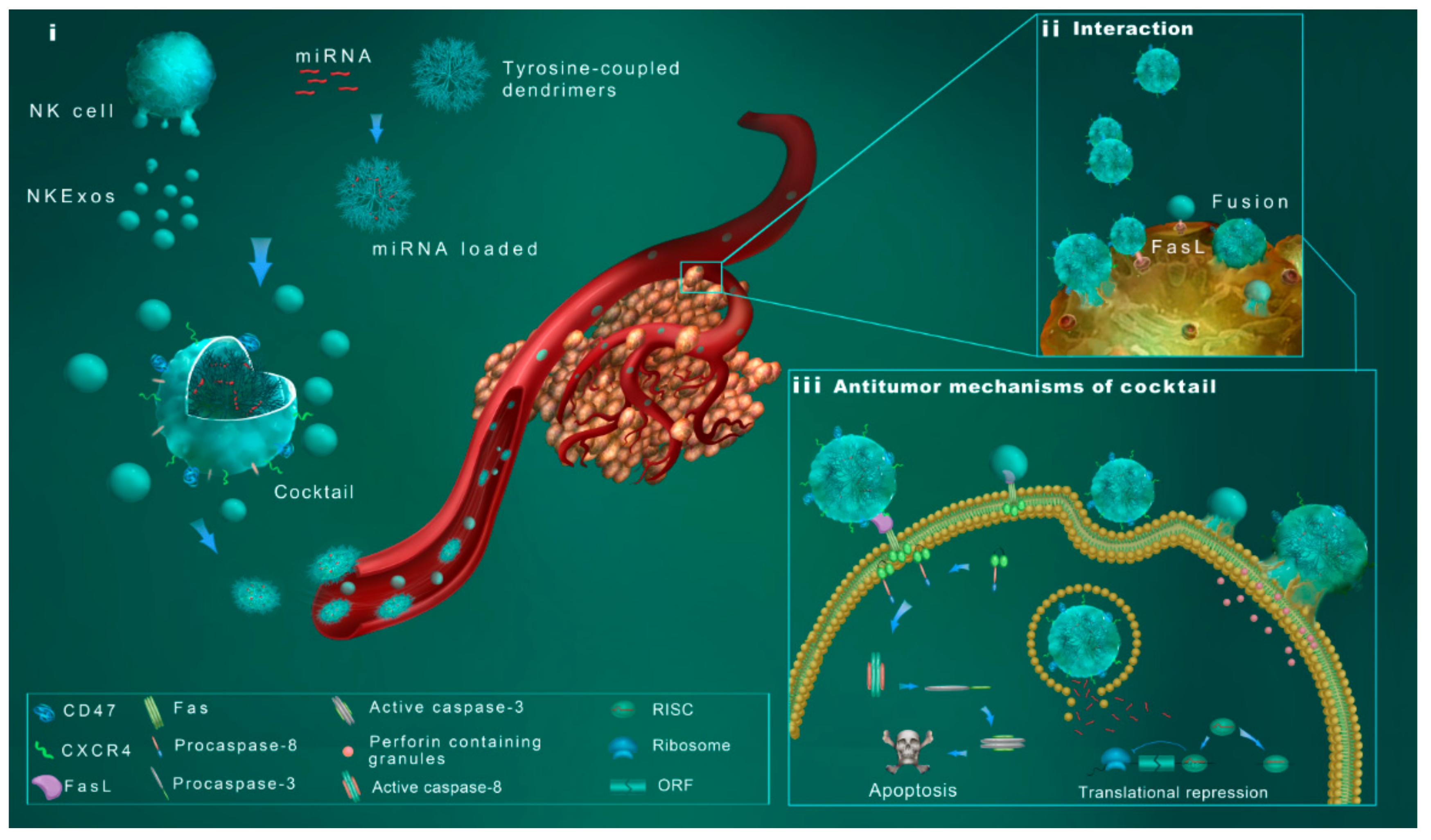 Cancers 11 01560 g005