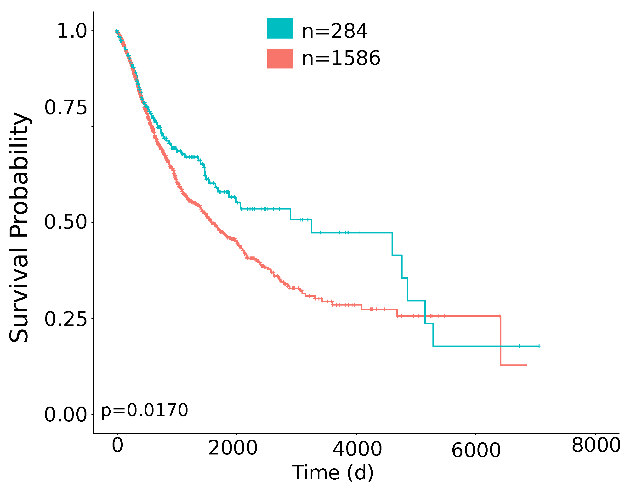 Cancers 11 01562 g0a4