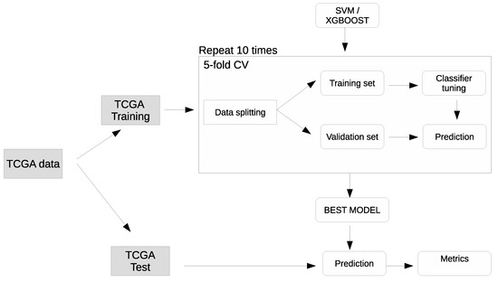 Cancers 11 01562 g0a5