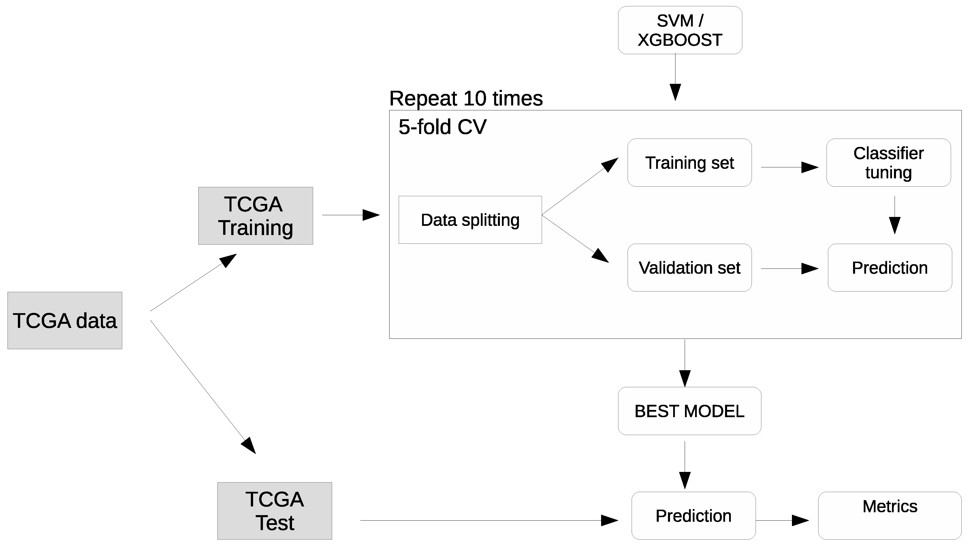 Cancers 11 01562 g0a5