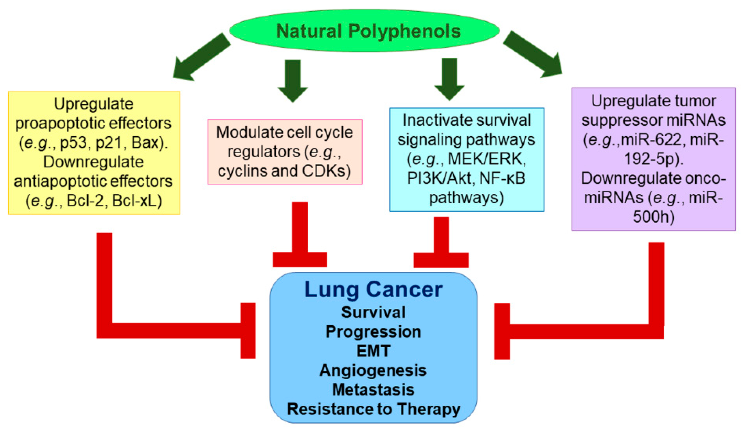 Cancers 11 01565 g002