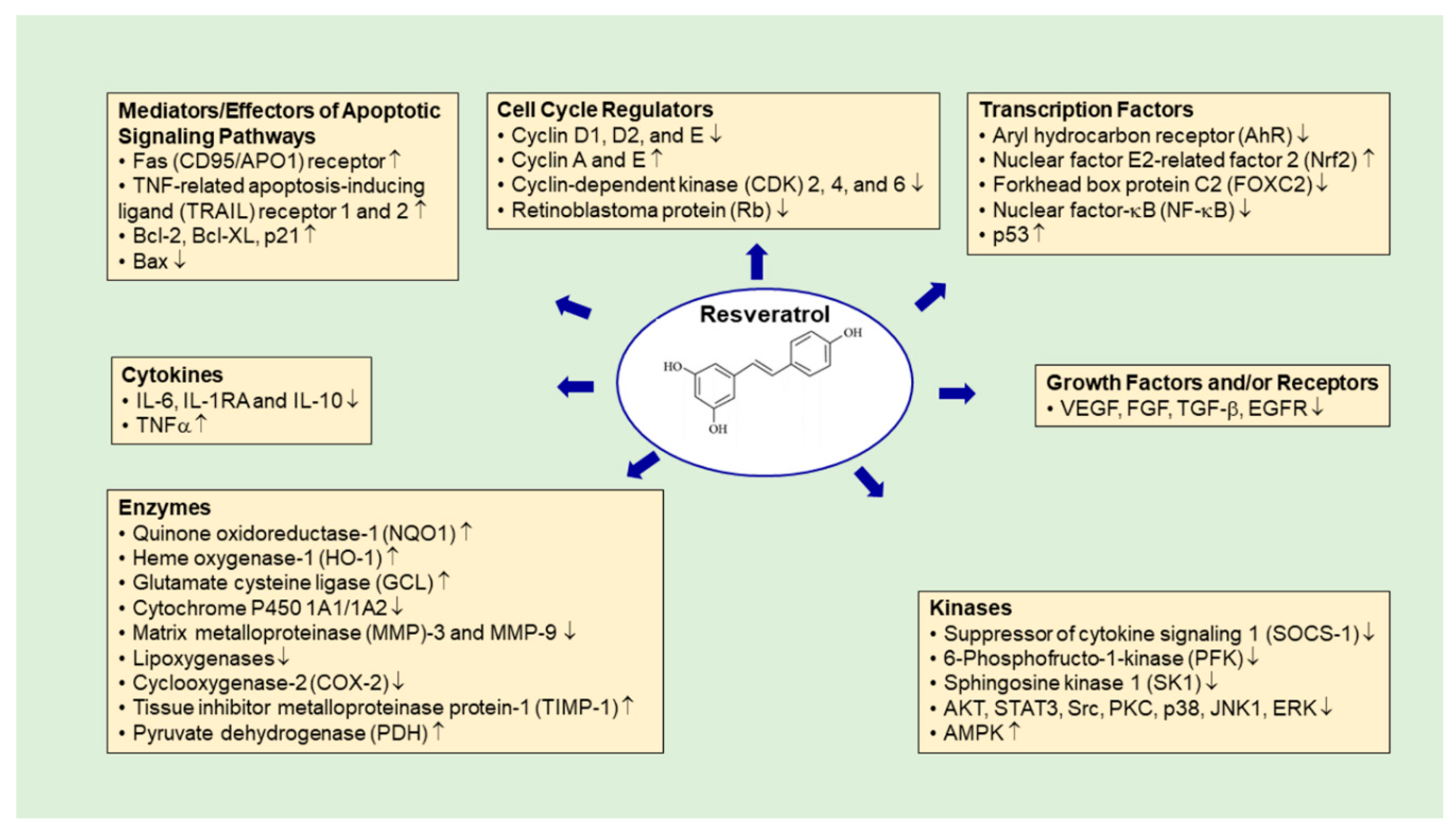 Cancers 11 01565 g003