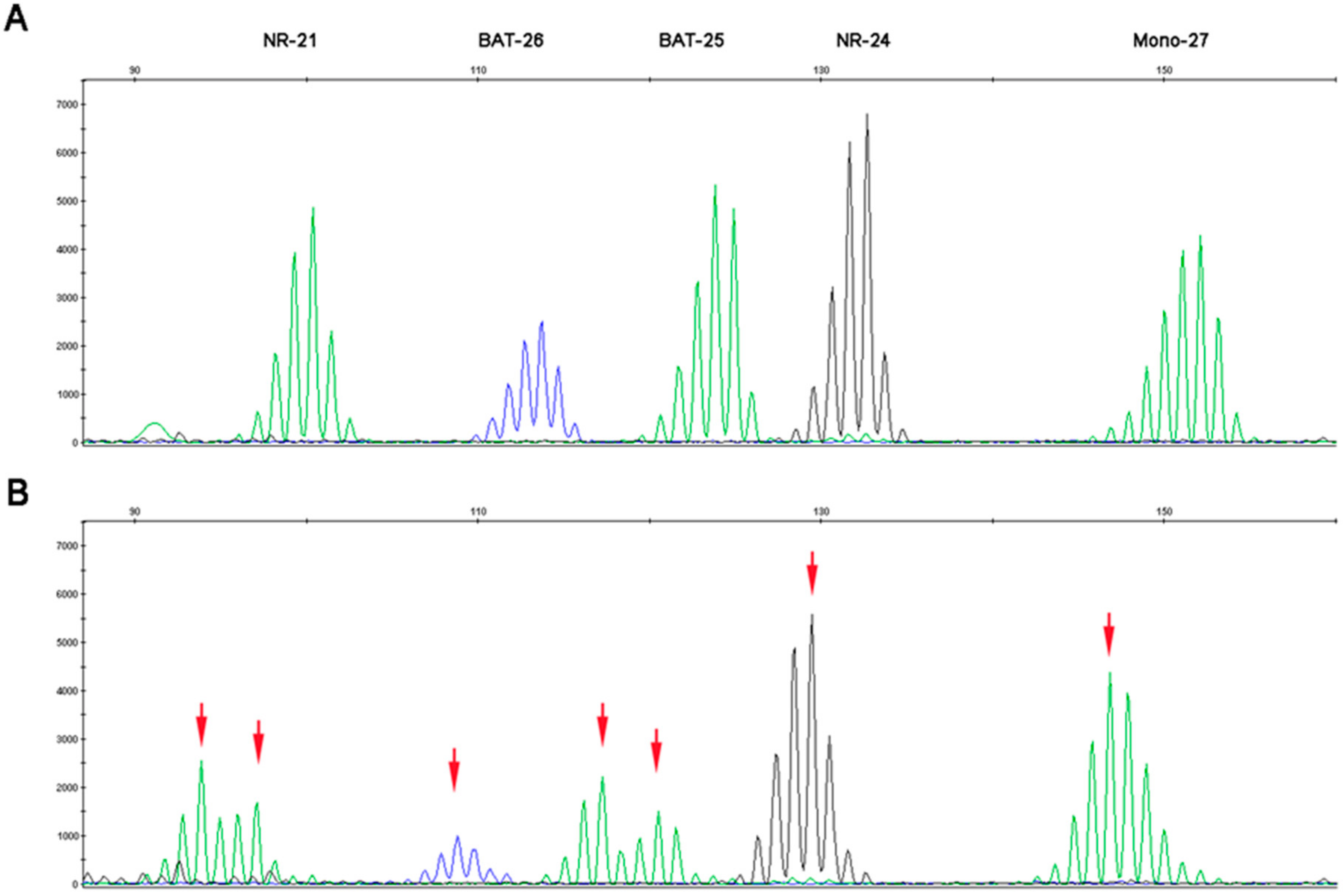 Cancers 11 01567 g003