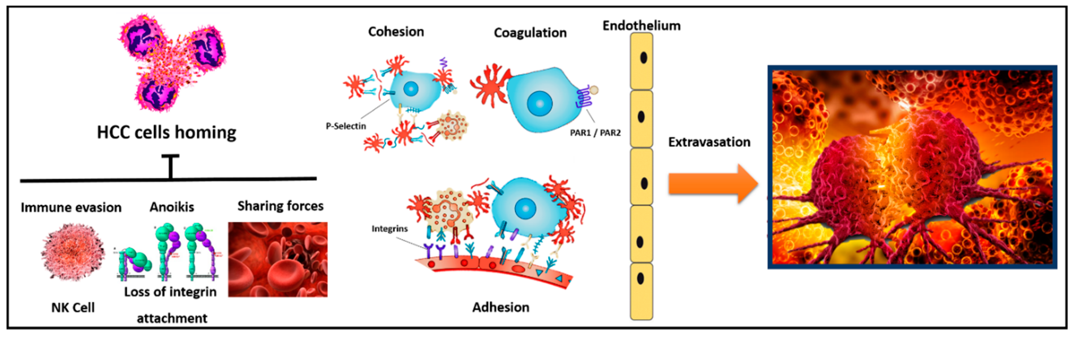 Cancers 11 01568 g002