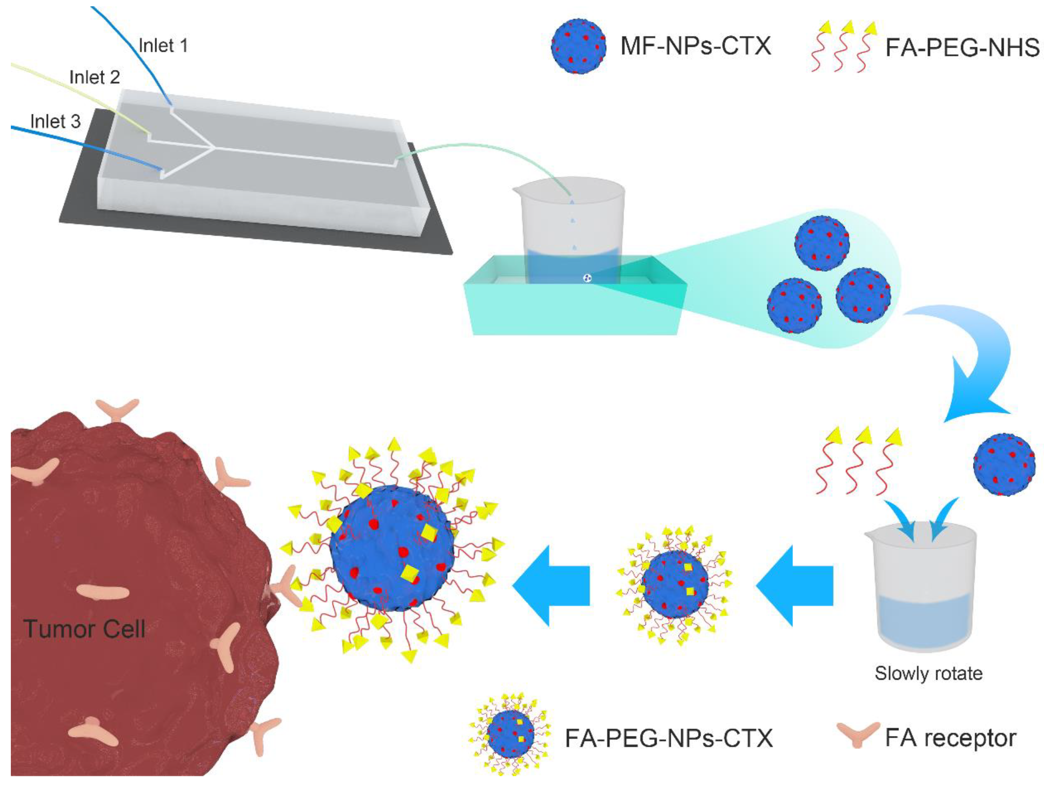 Cancers 11 01571 g001