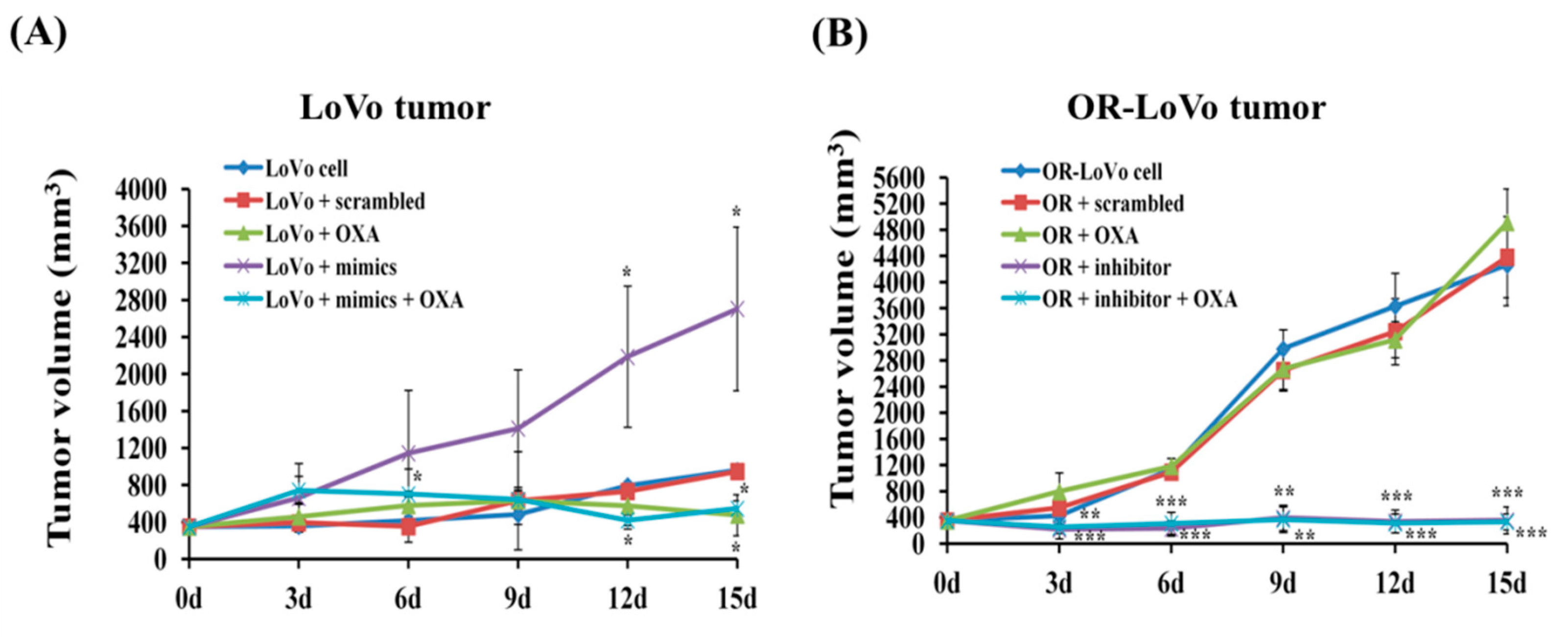 Cancers 11 01576 g005a Cancers 11 01576 g005a