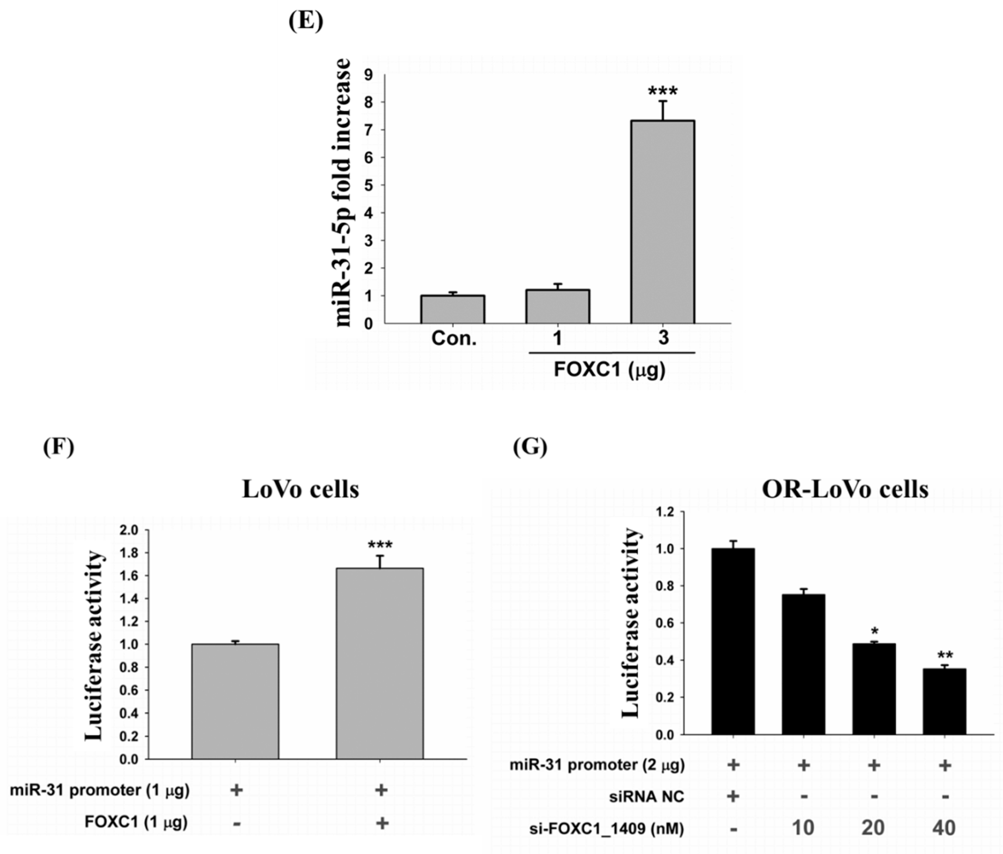 Cancers 11 01576 g007b Cancers 11 01576 g007b