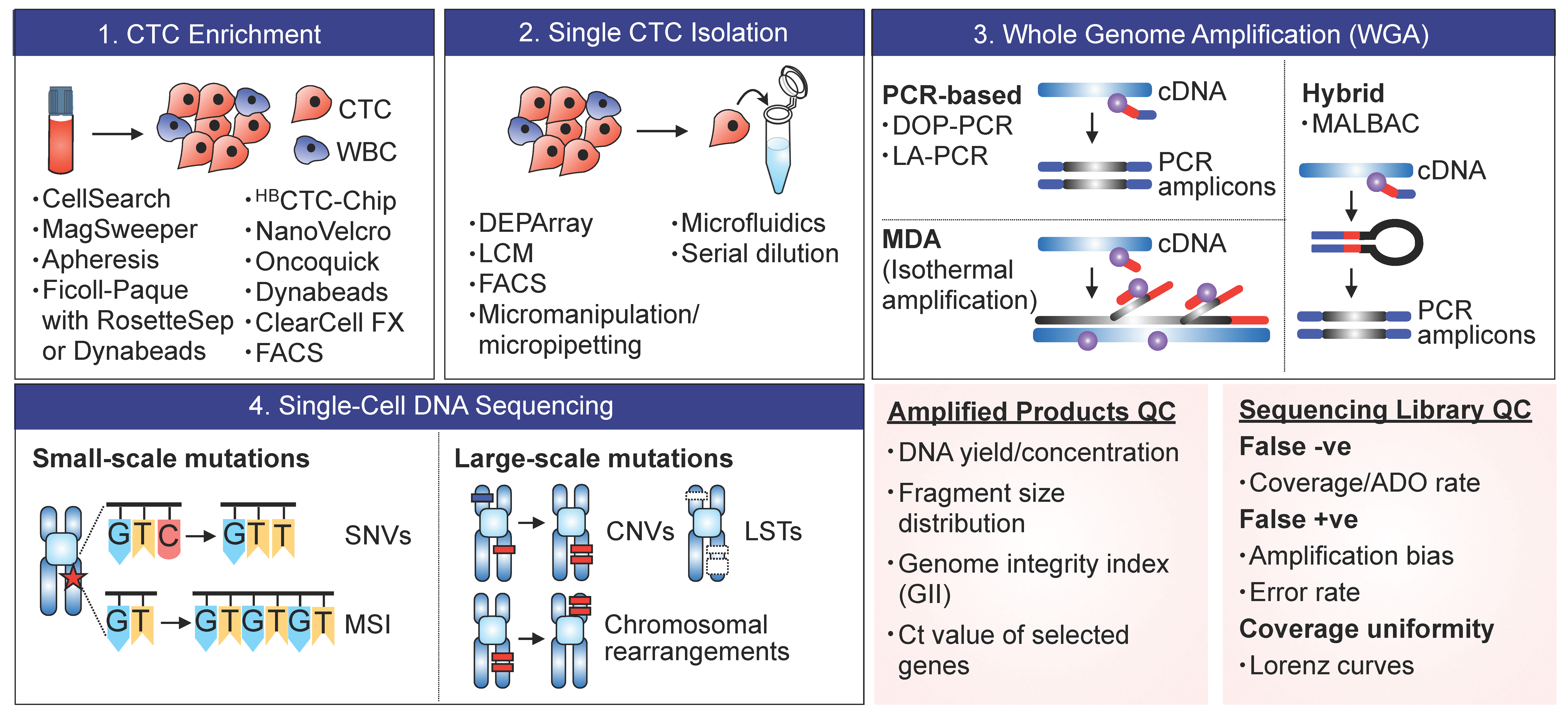 Cancers 11 01595 g001