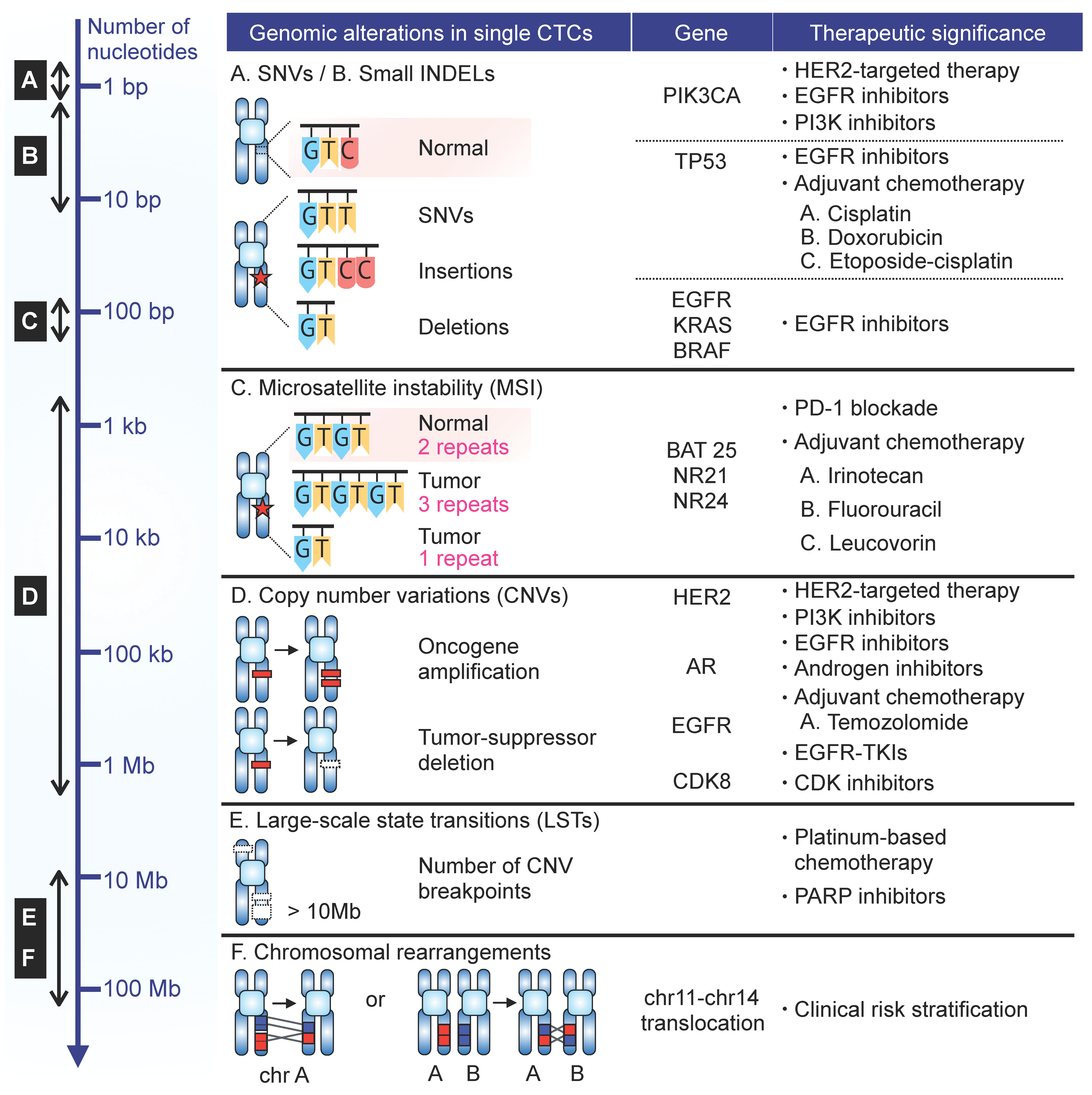 Cancers 11 01595 g002