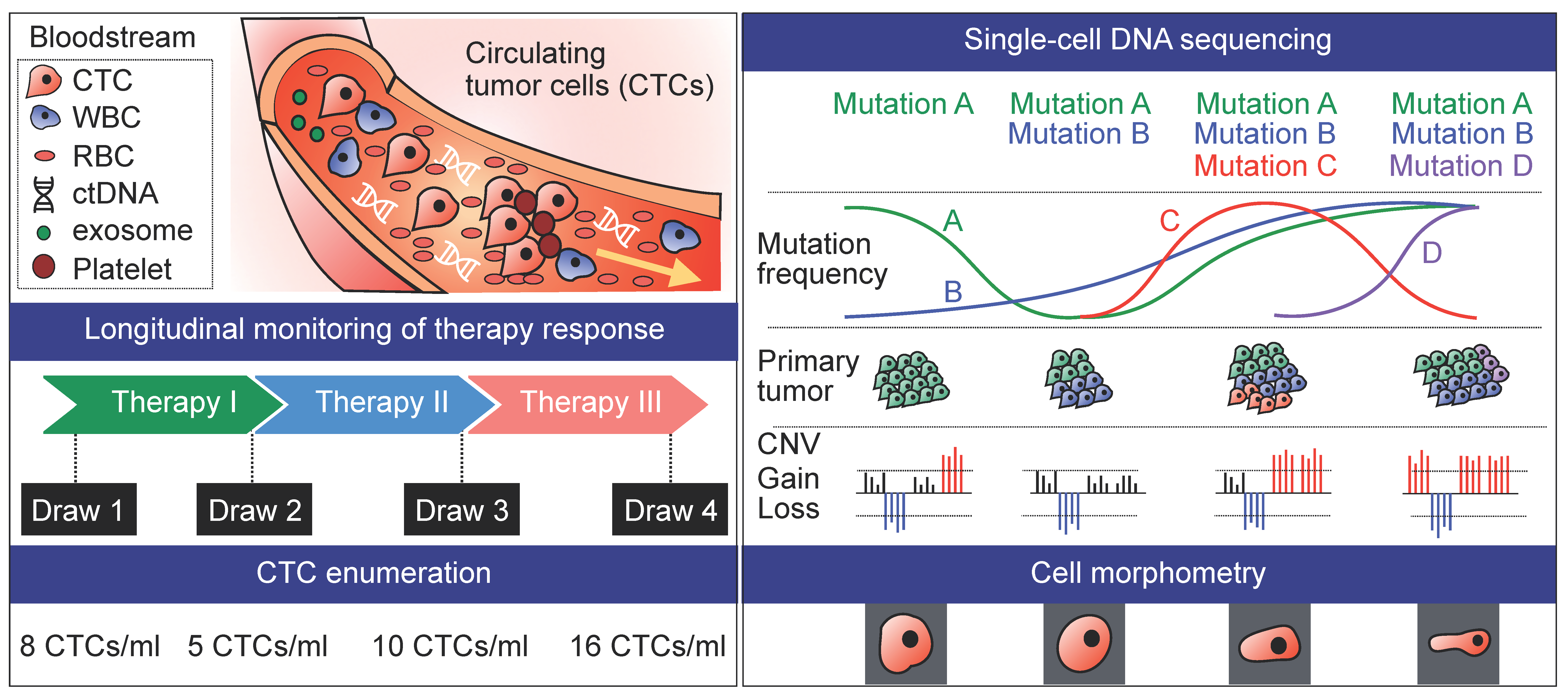 Cancers 11 01595 g003