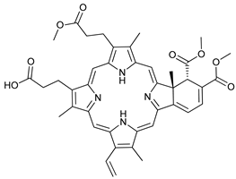 Cancers 11 01599 i045 Cancers 11 01599 i045