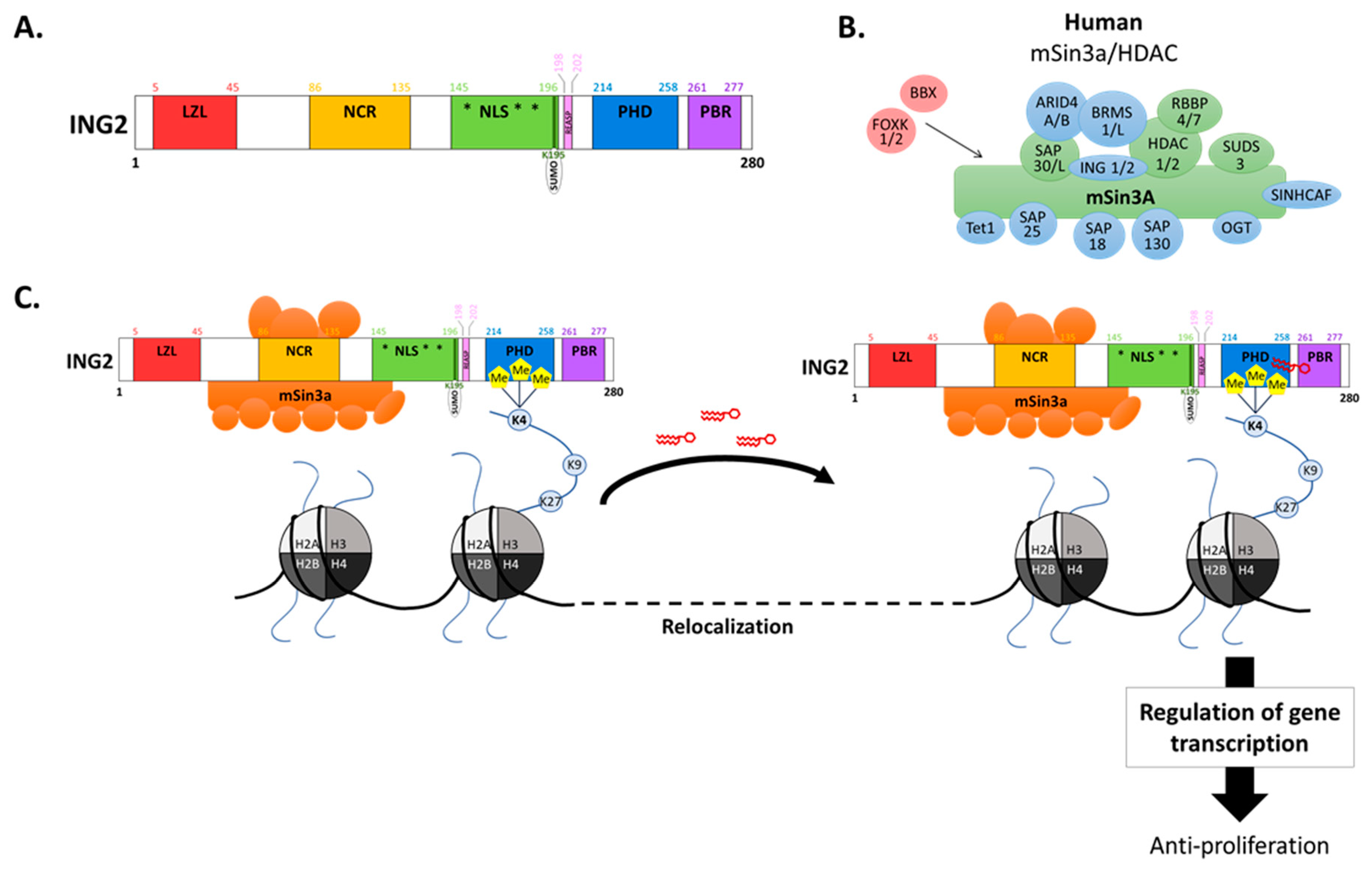 Cancers 11 01601 g001