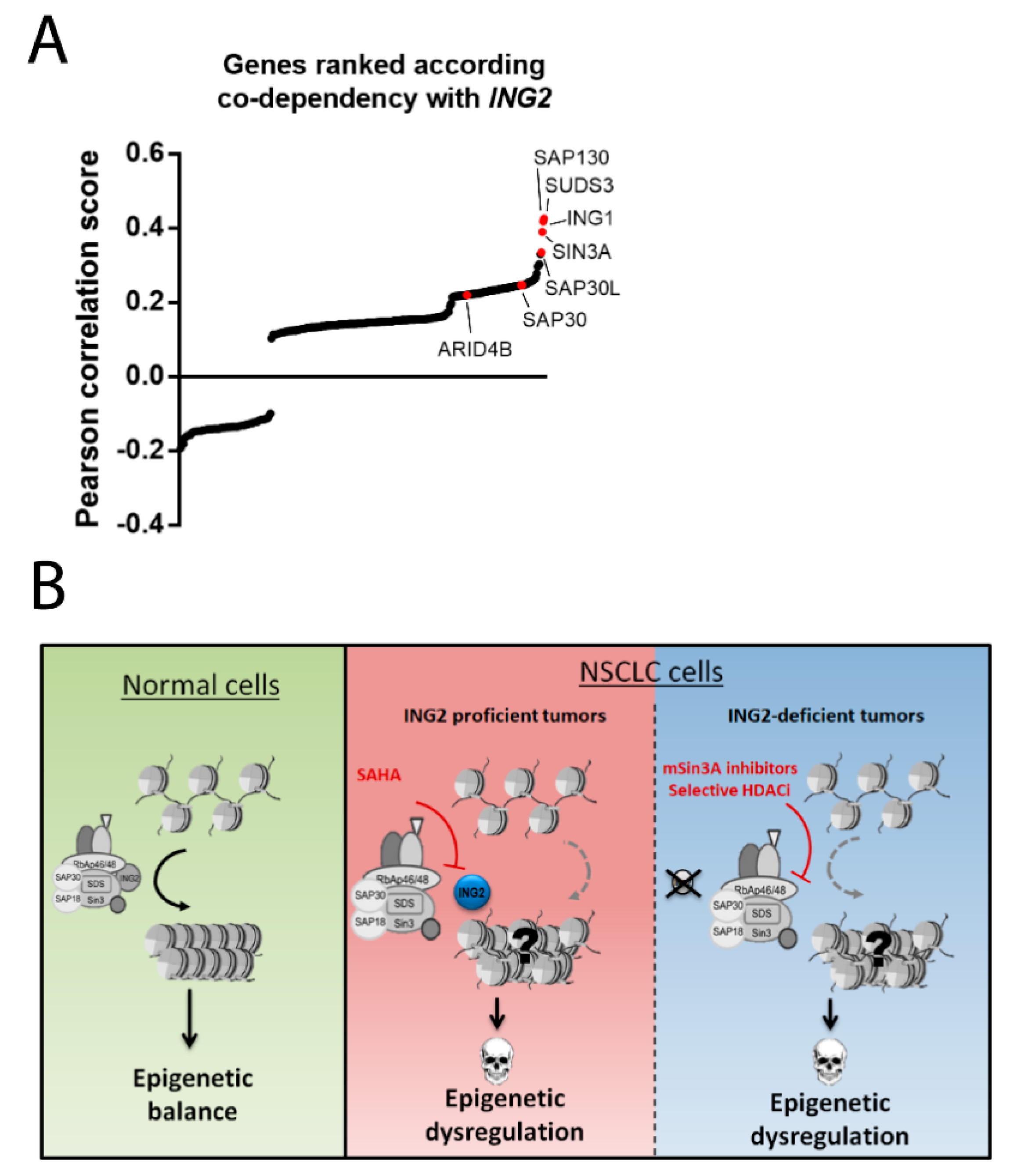 Cancers 11 01601 g003