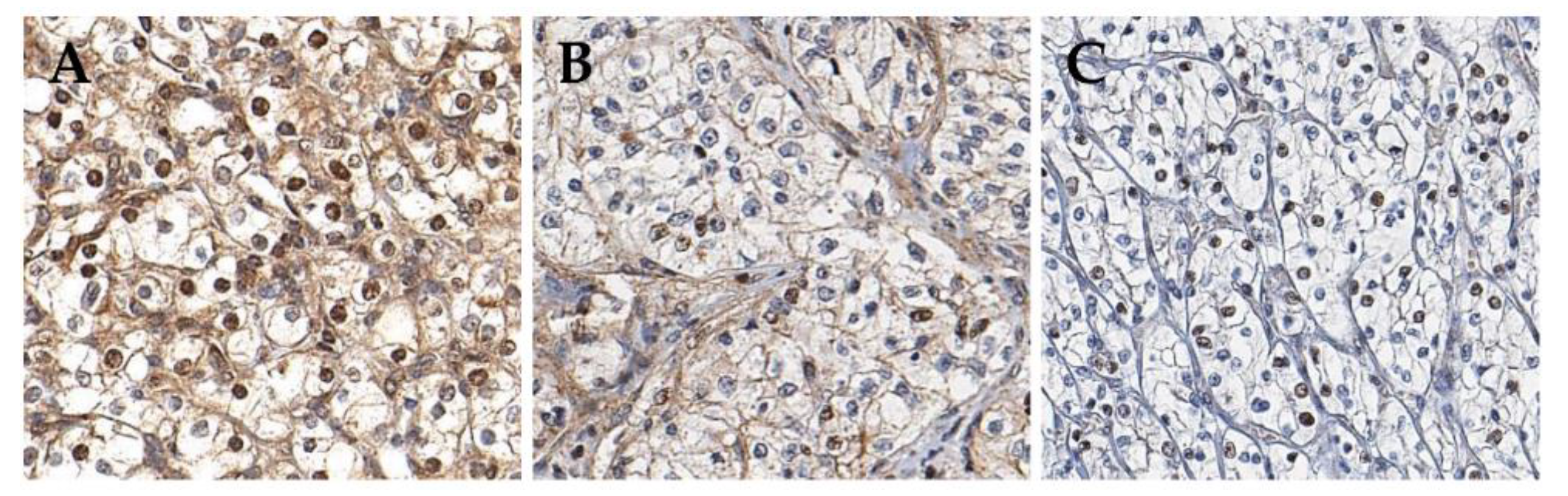 Cancers 11 01602 g001