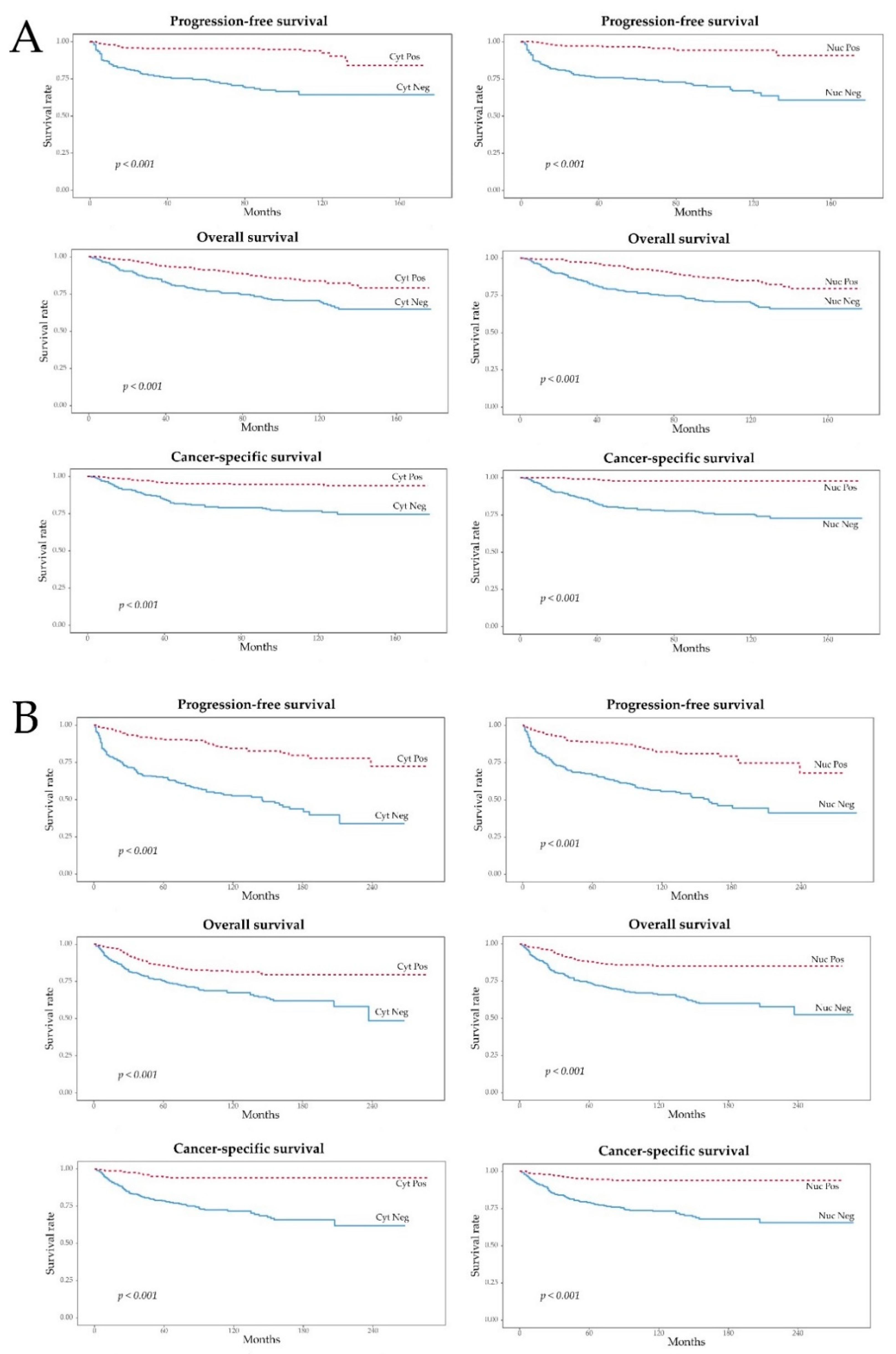 Cancers 11 01602 g002