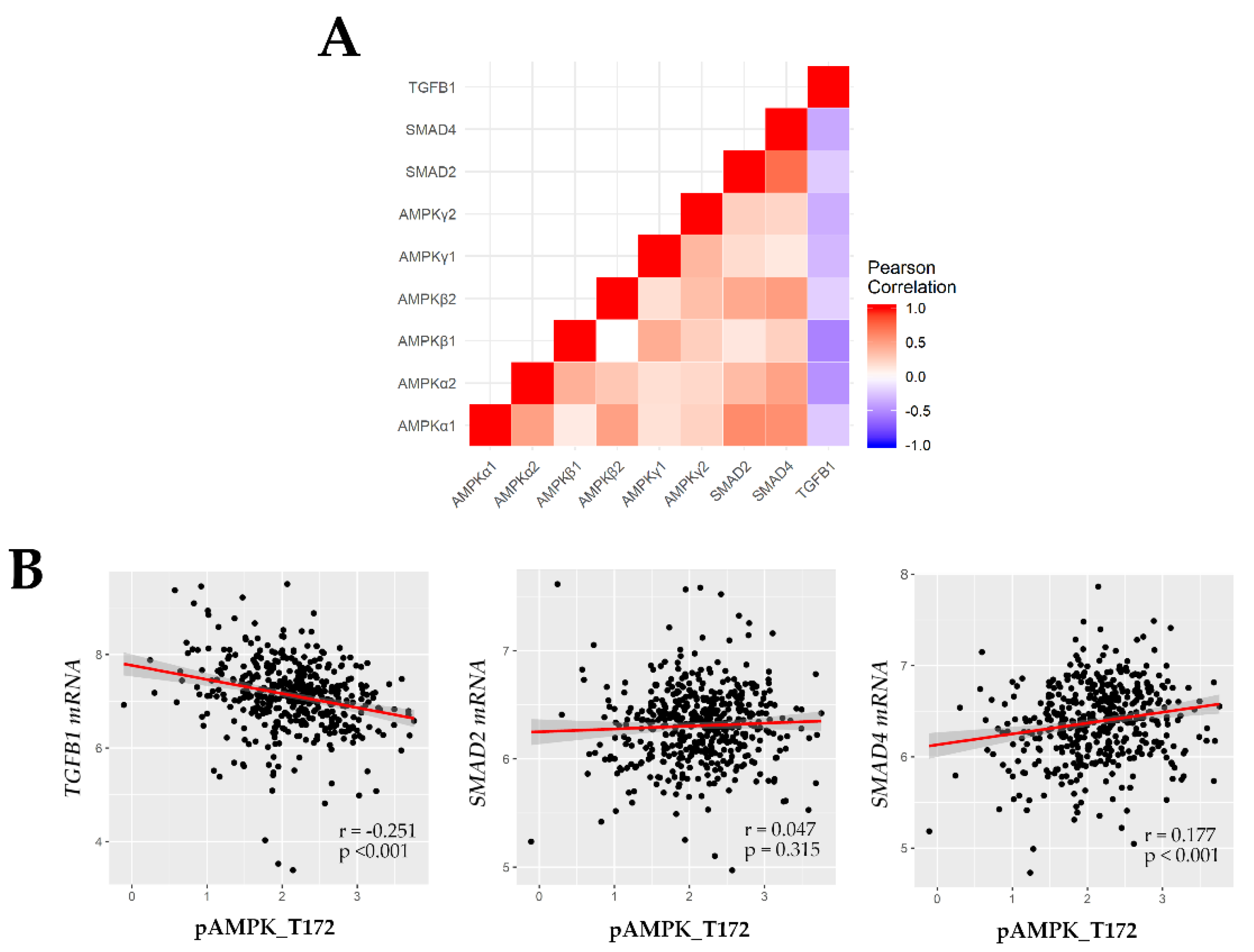 Cancers 11 01602 g004
