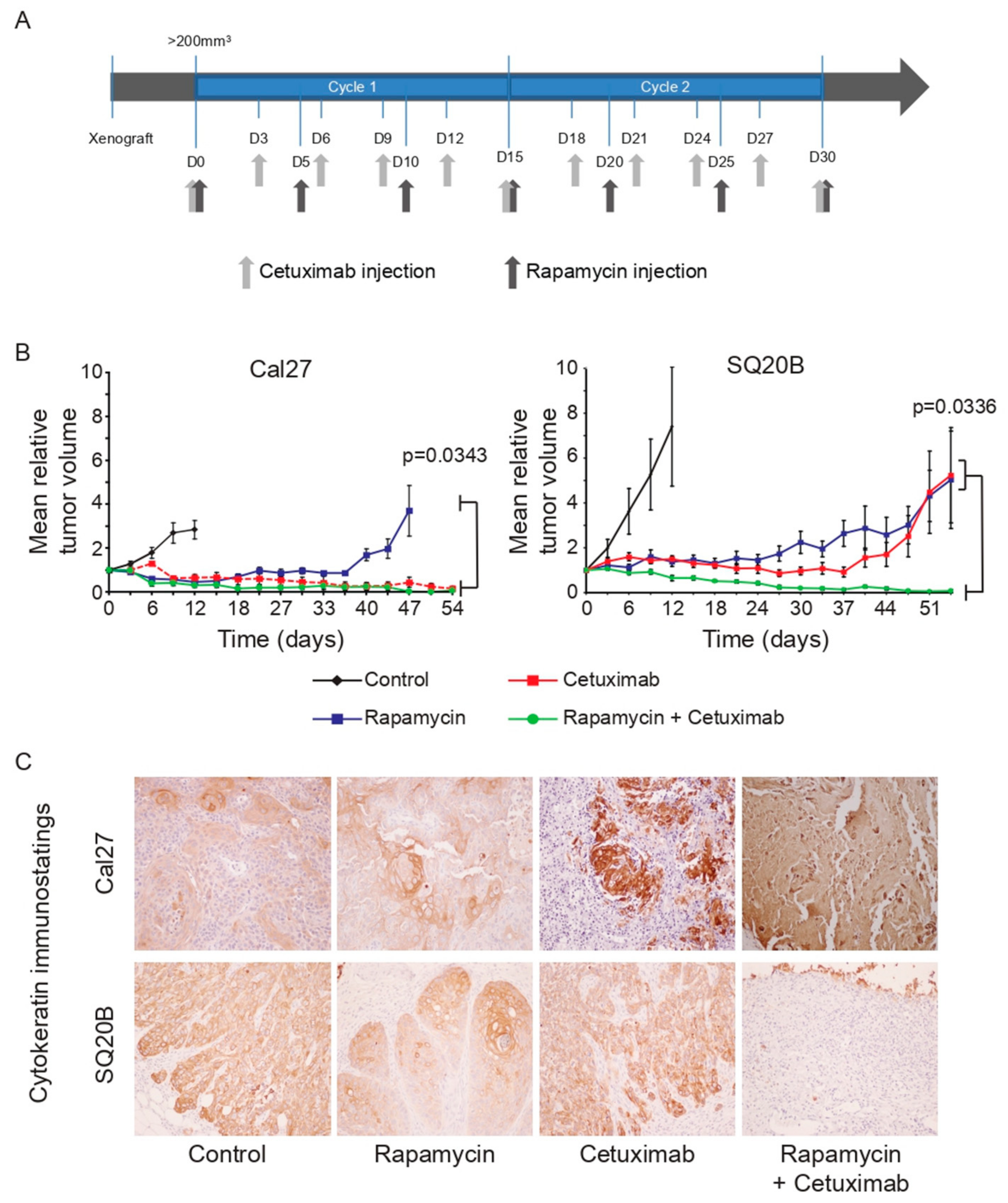 Cancers 11 01607 g001