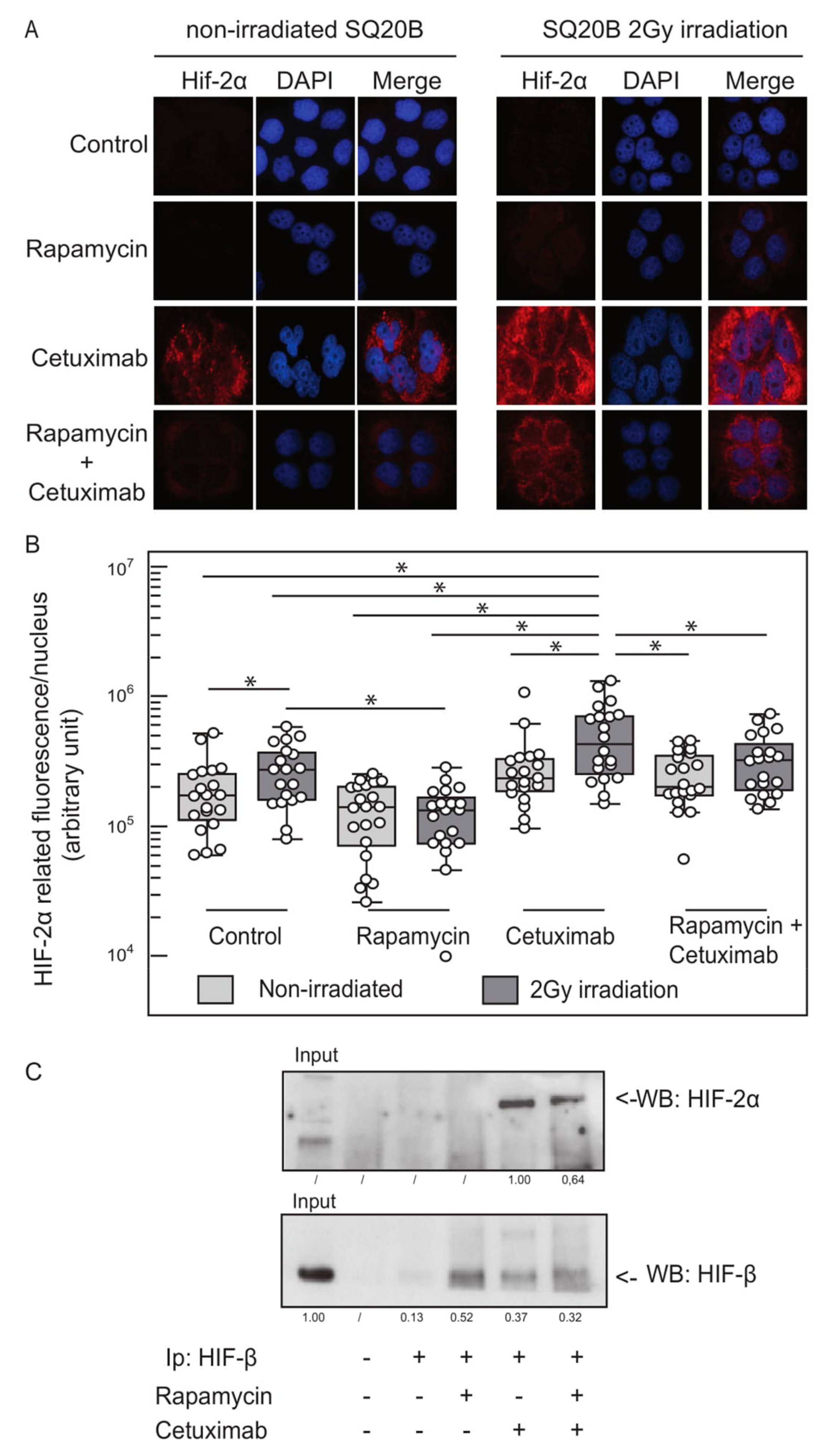 Cancers 11 01607 g003