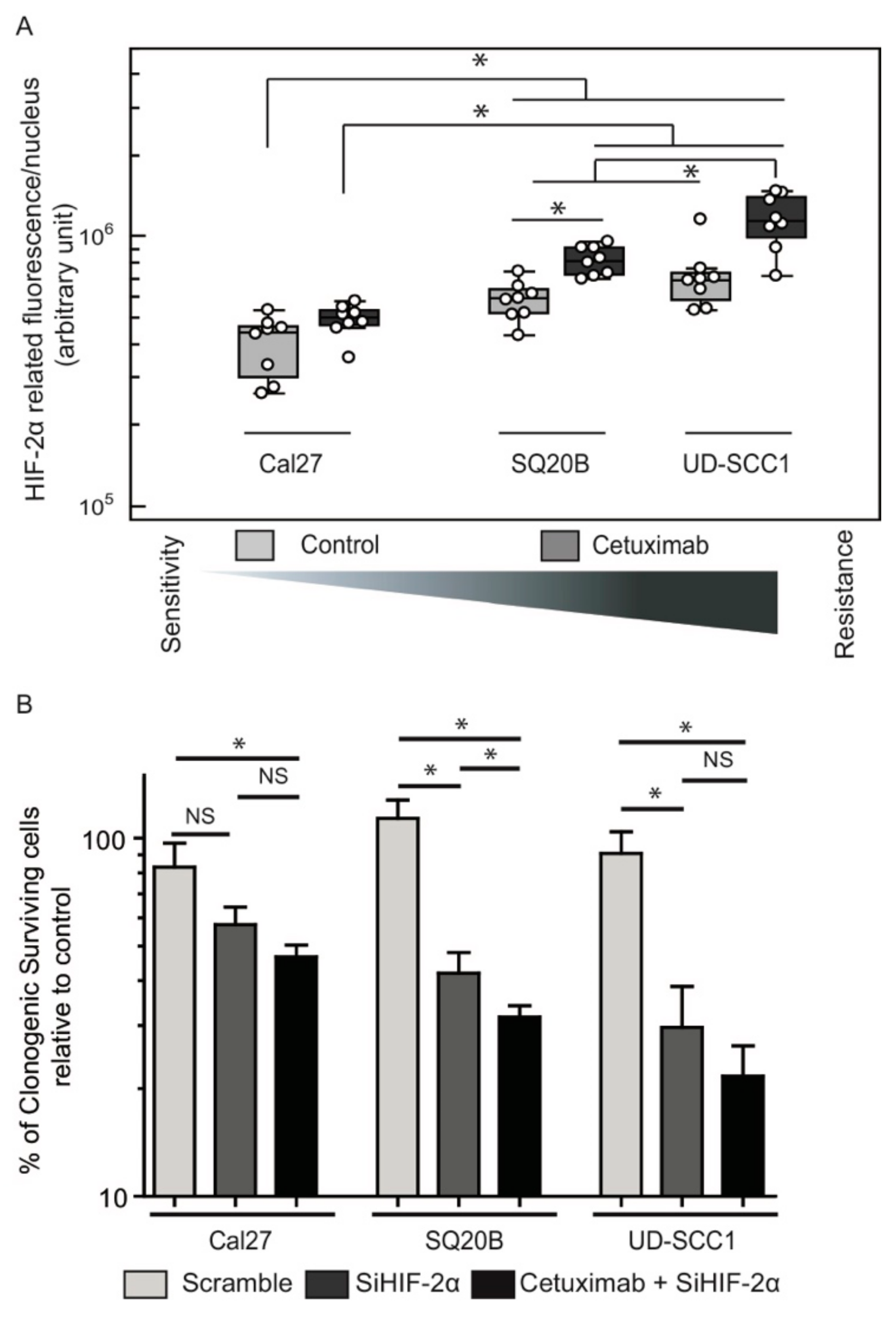 Cancers 11 01607 g004