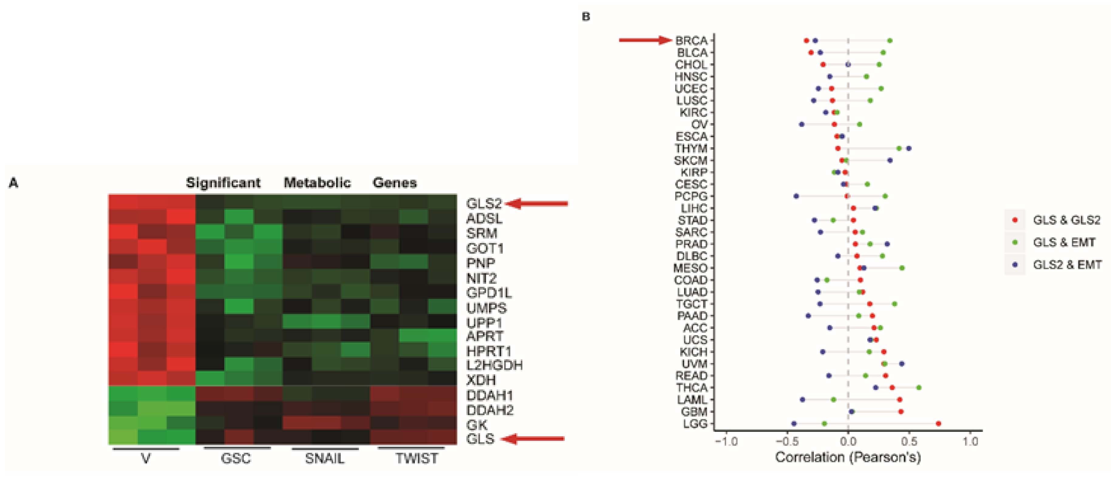 Cancers 11 01610 g001 Cancers 11 01610 g001