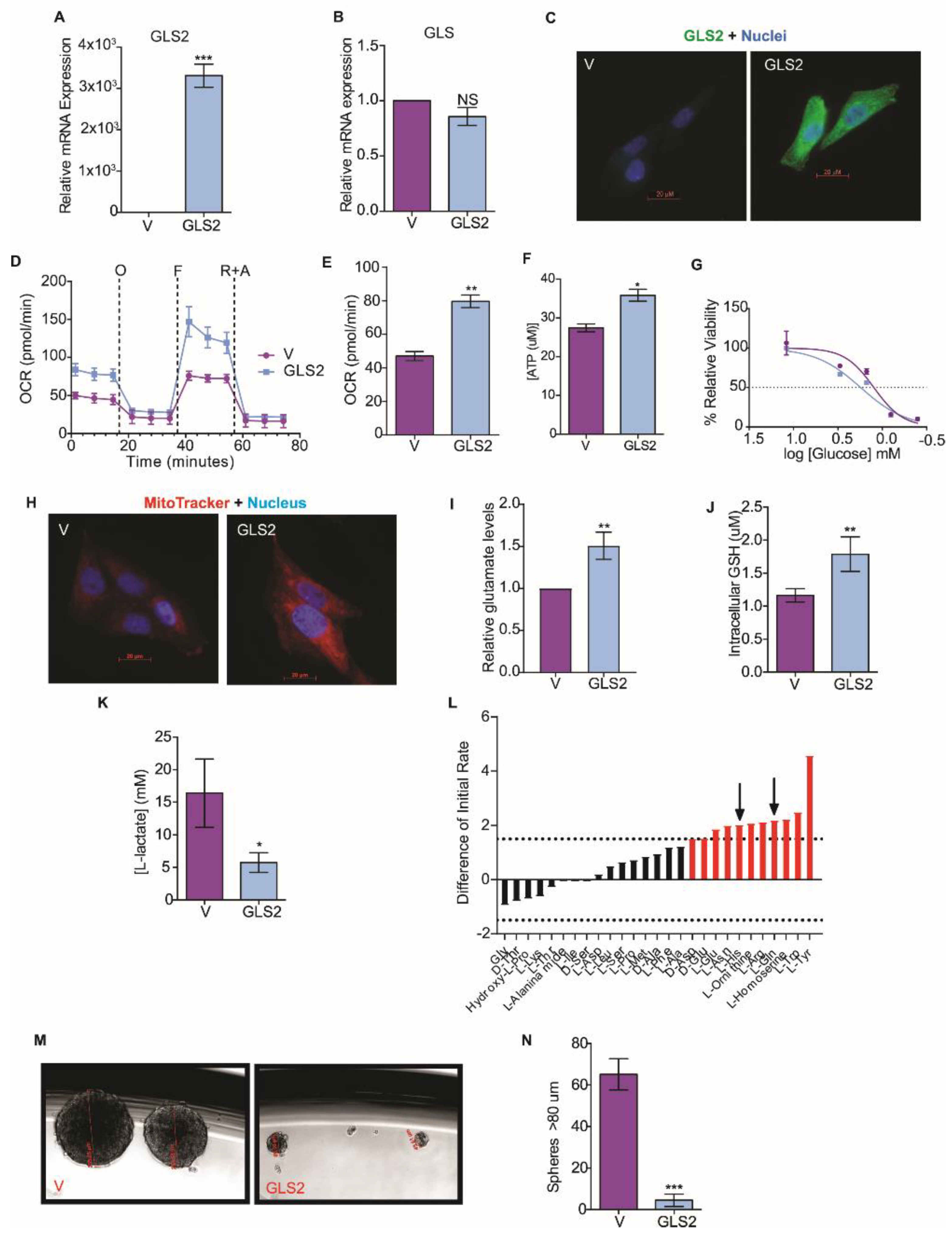 Cancers 11 01610 g003 Cancers 11 01610 g003