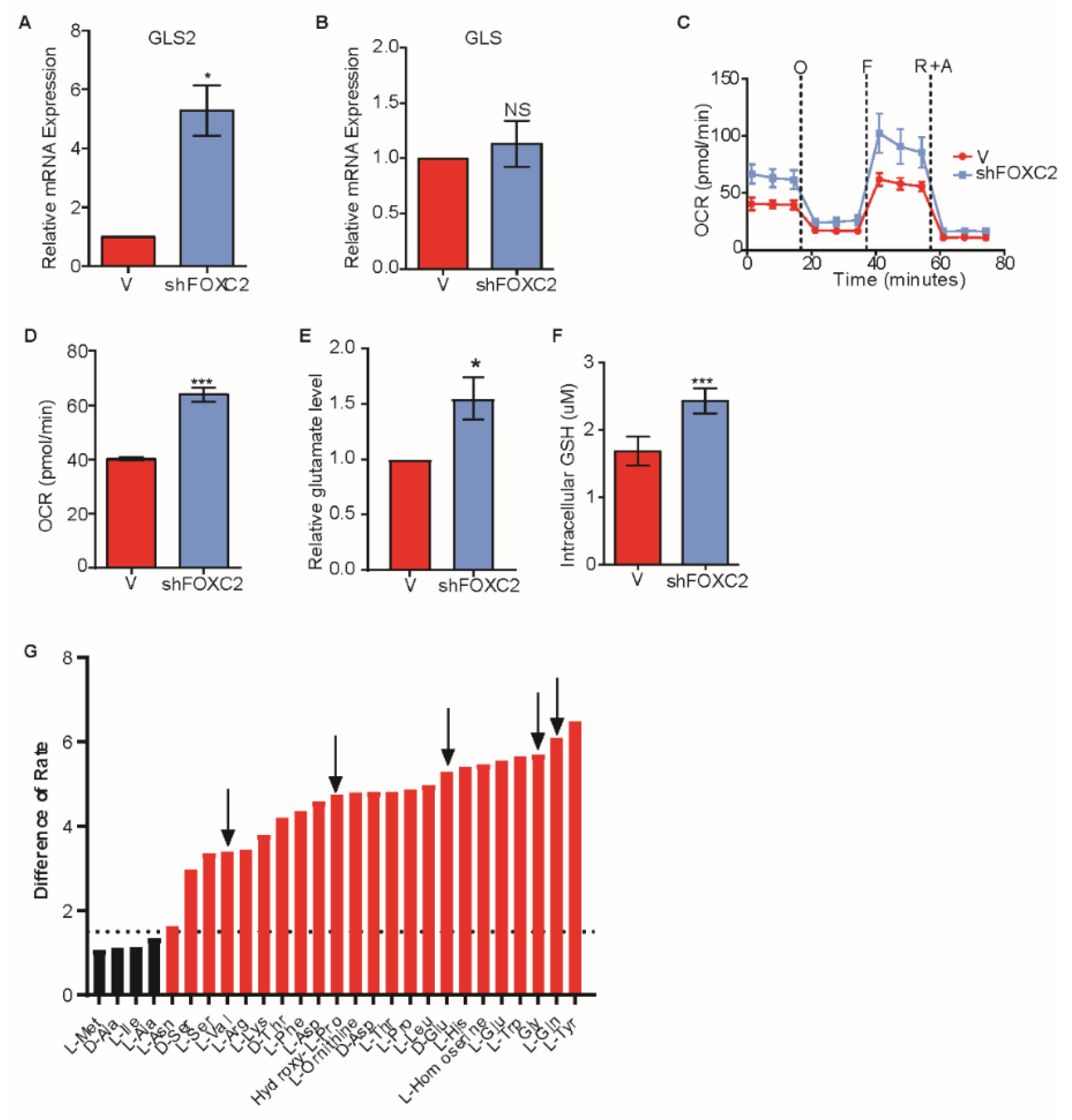 Cancers 11 01610 g004 Cancers 11 01610 g004
