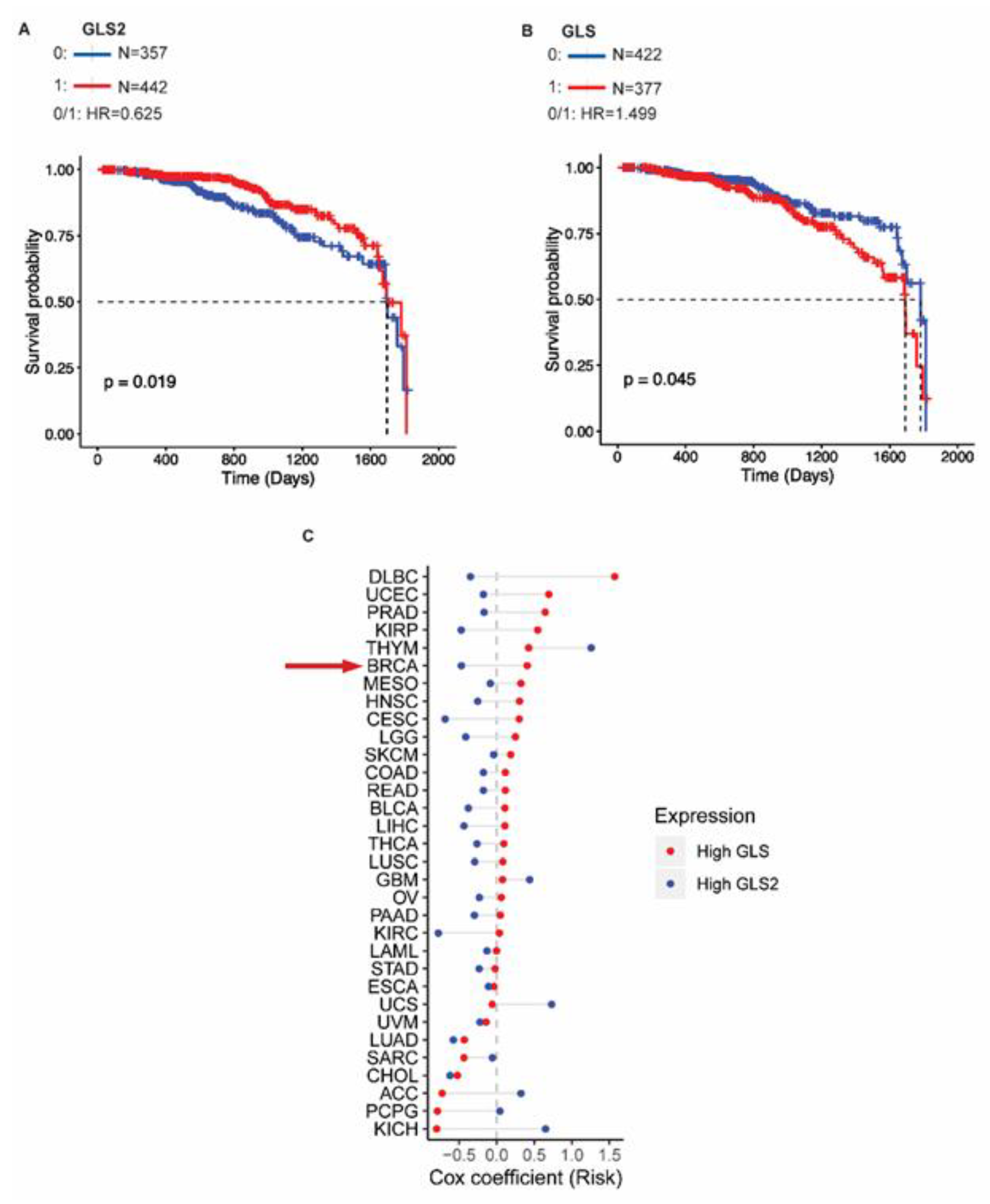 Cancers 11 01610 g005 Cancers 11 01610 g005