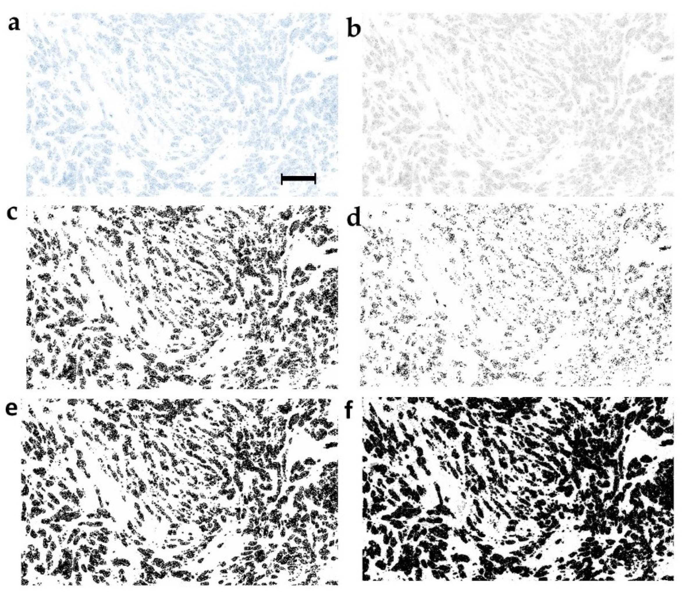 Cancers 11 01615 g001