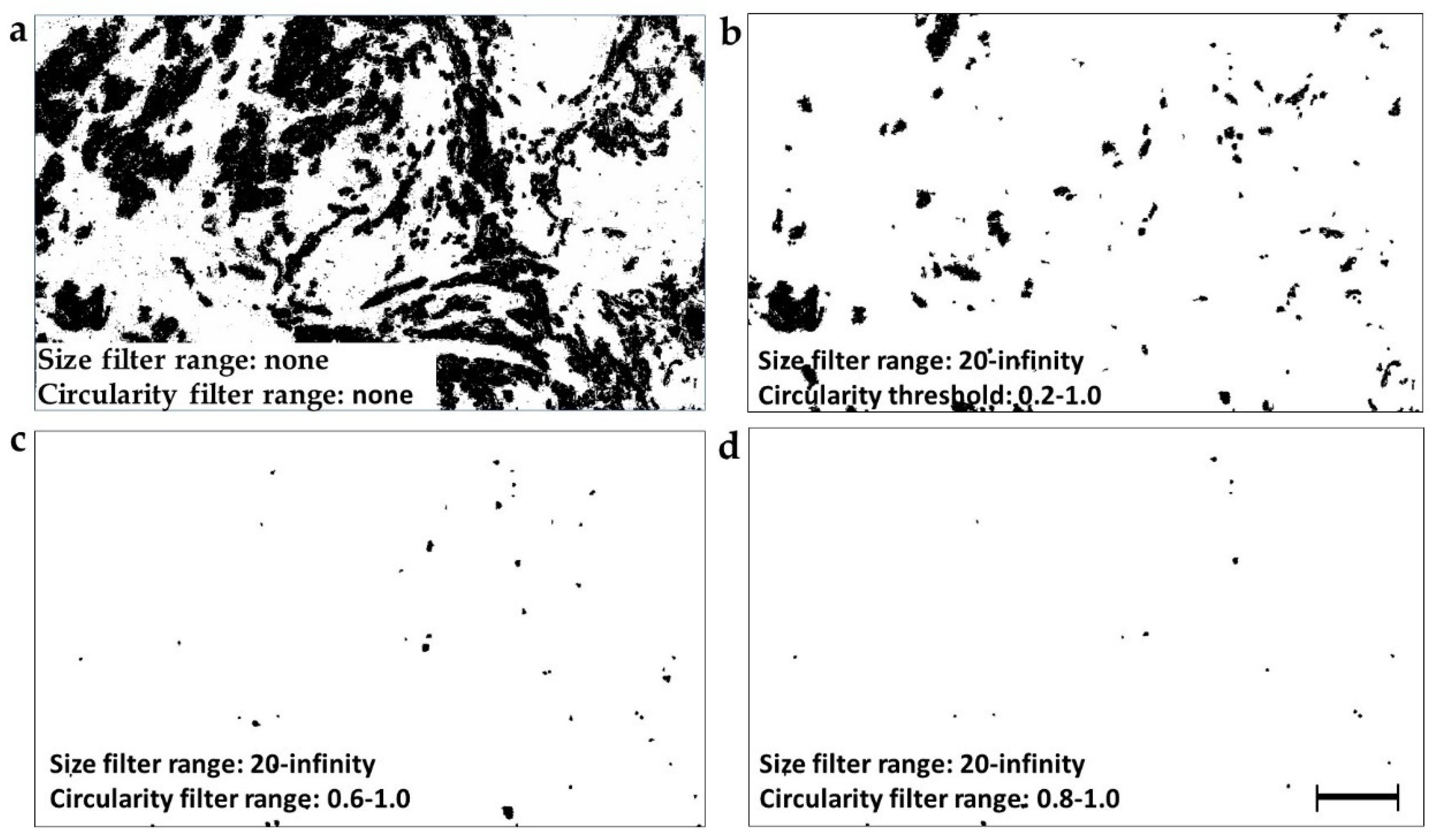 Cancers 11 01615 g002