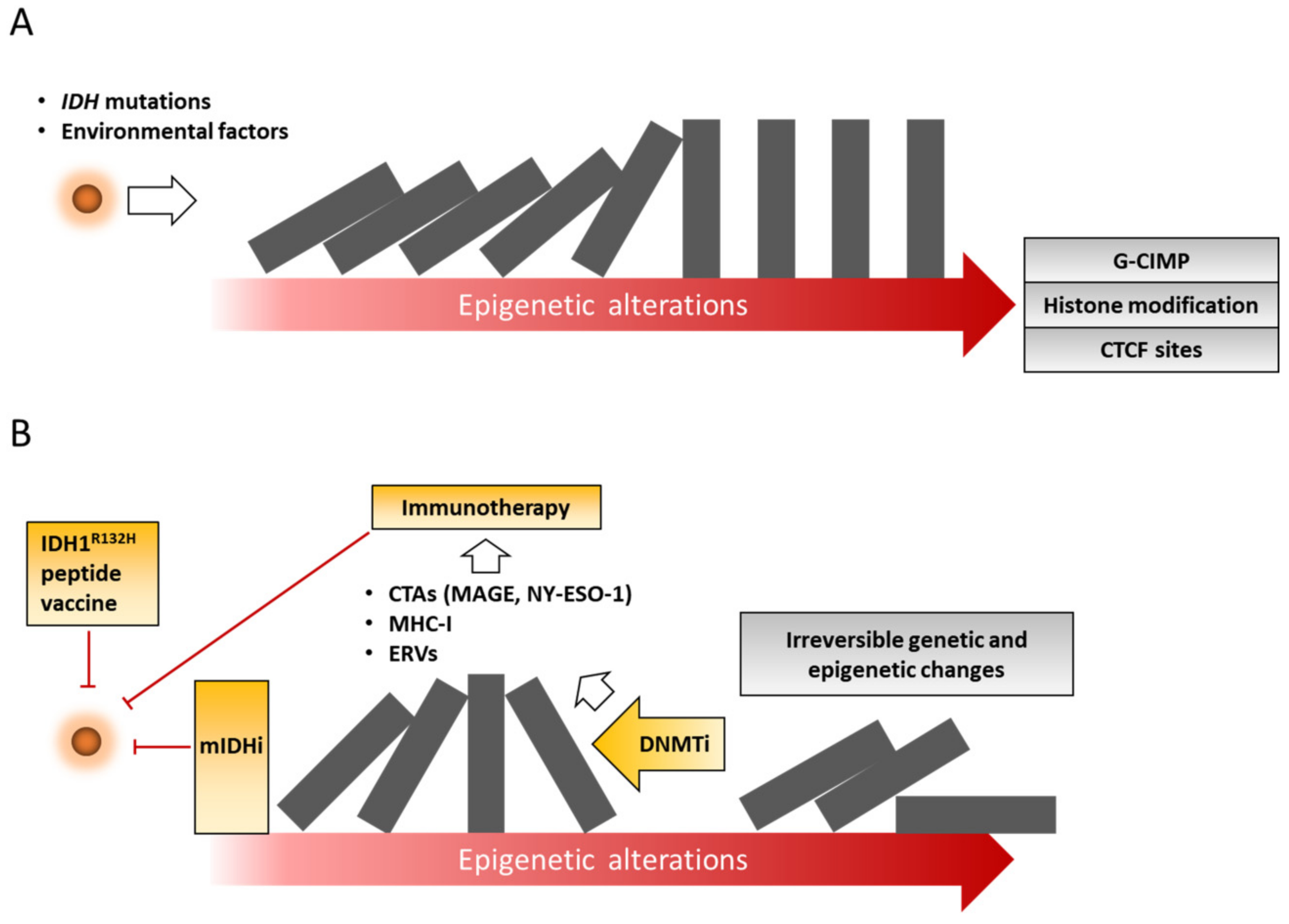 Cancers 11 01616 g002 Cancers 11 01616 g002