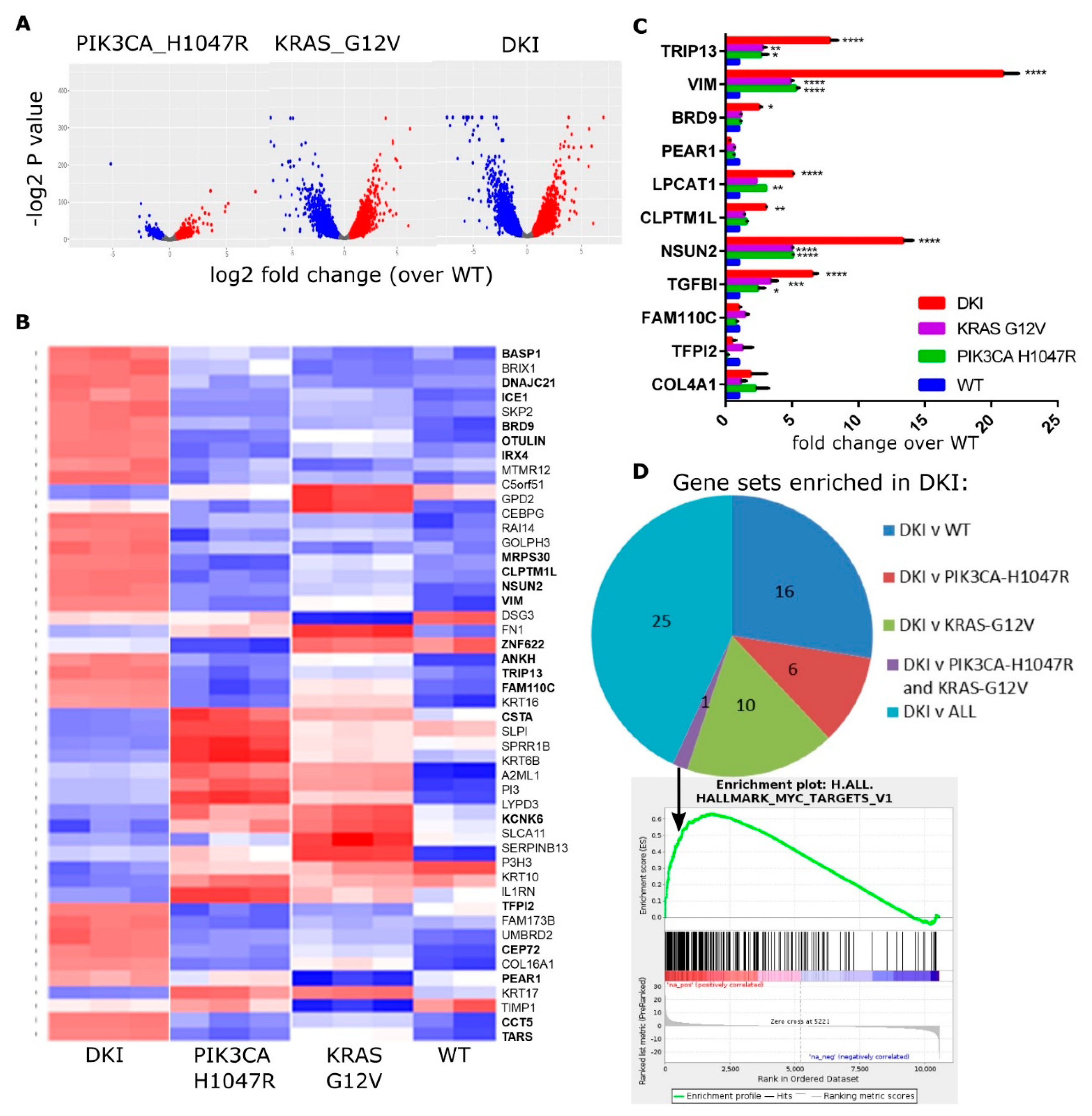 Cancers 11 01634 g002