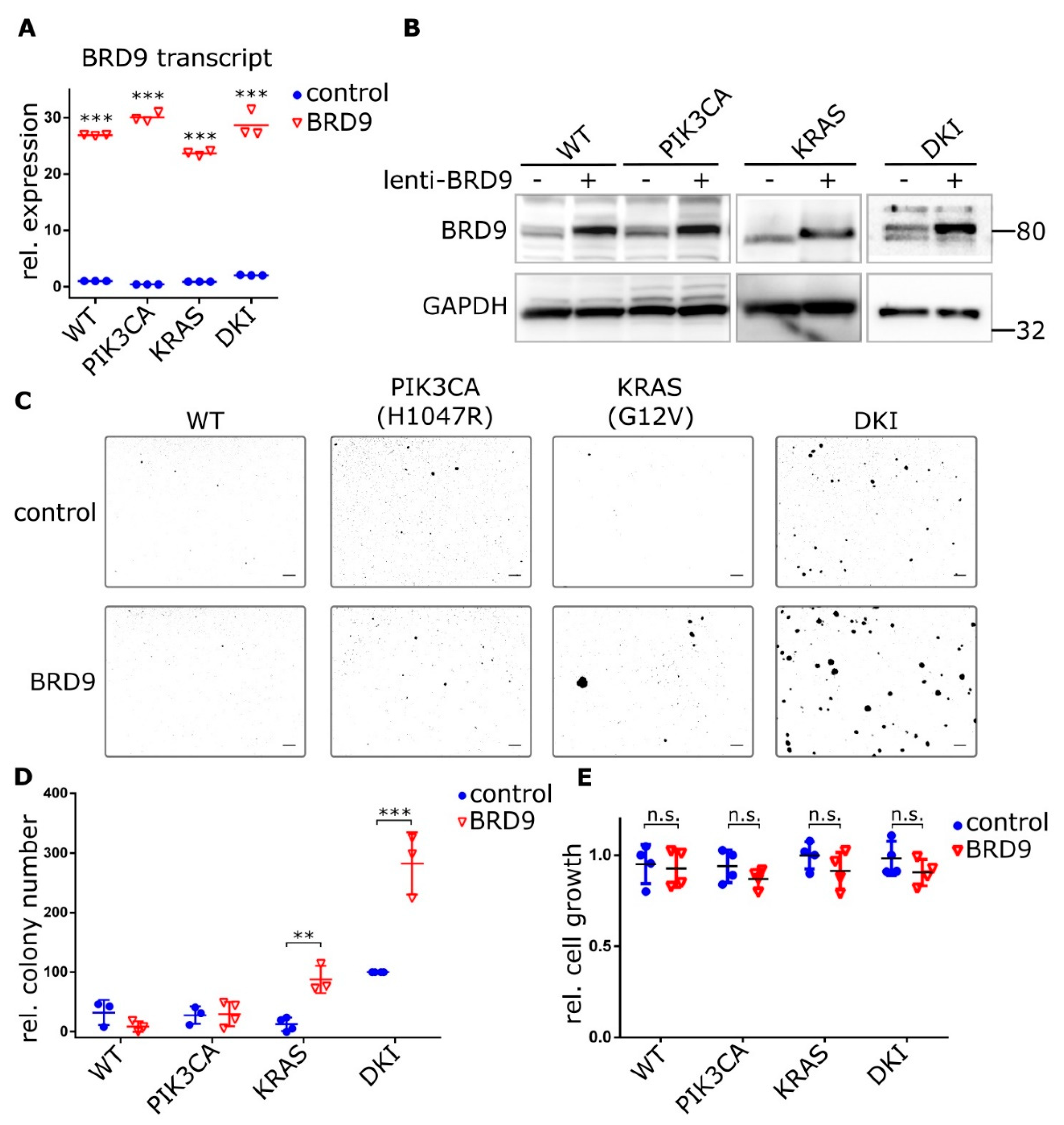Cancers 11 01634 g004