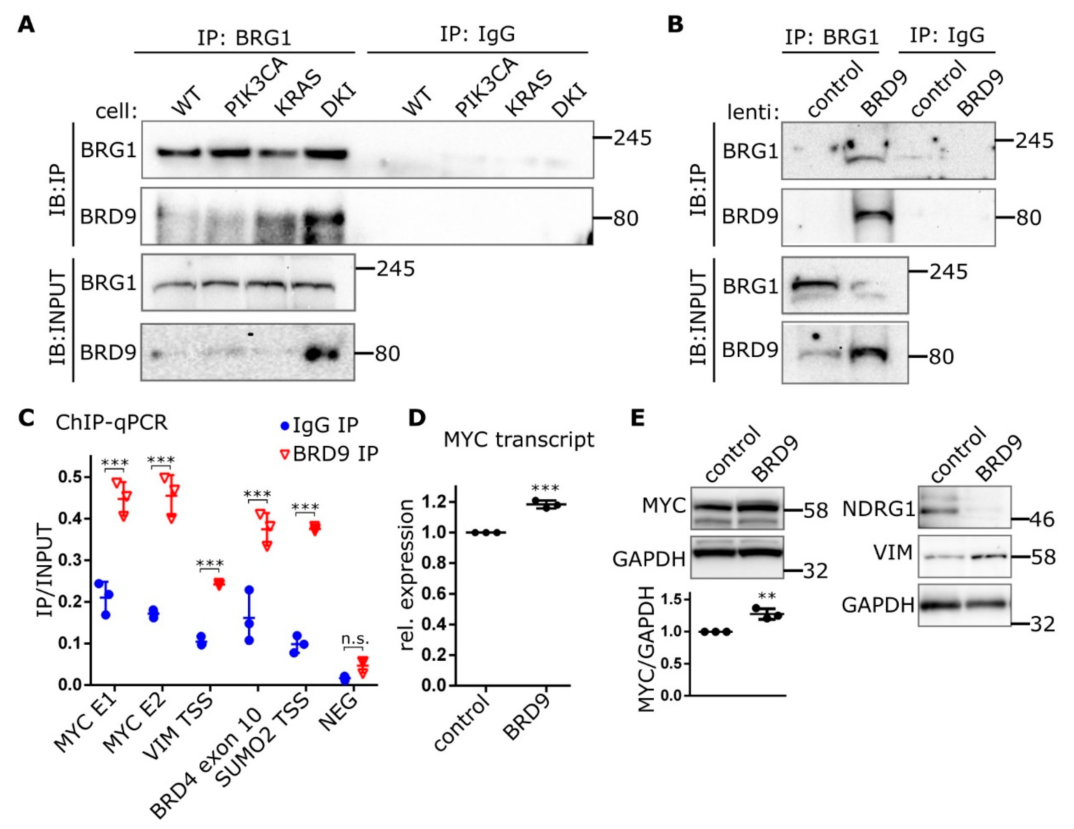Cancers 11 01634 g005