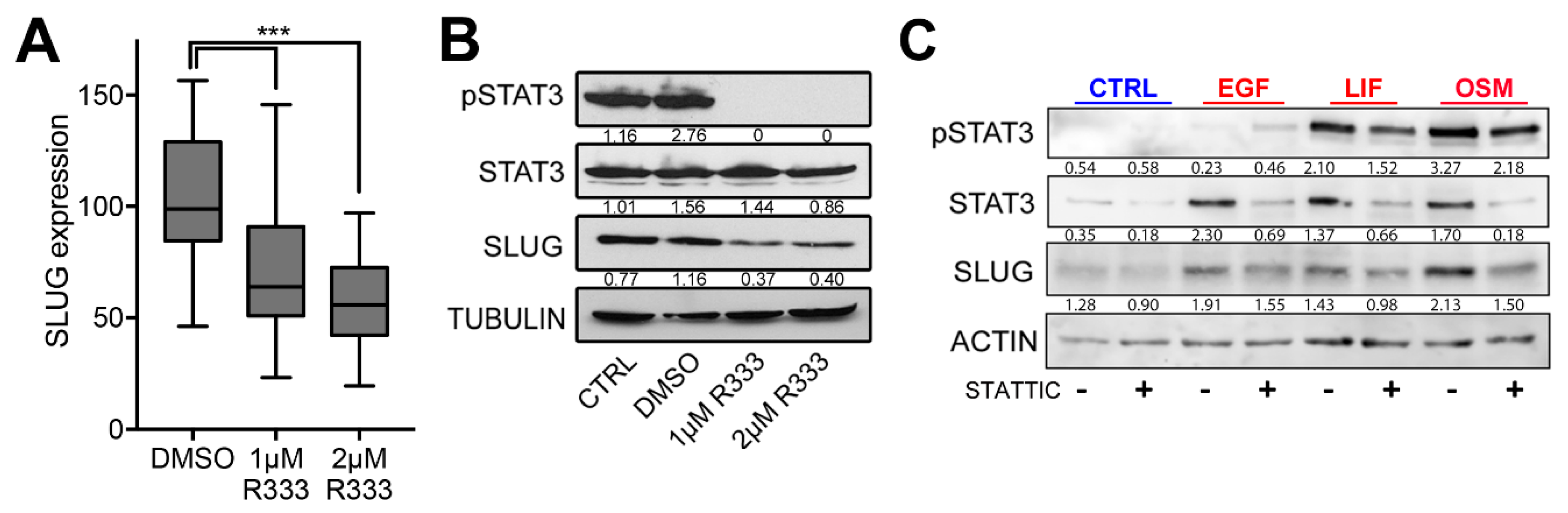 Cancers 11 01635 g003a