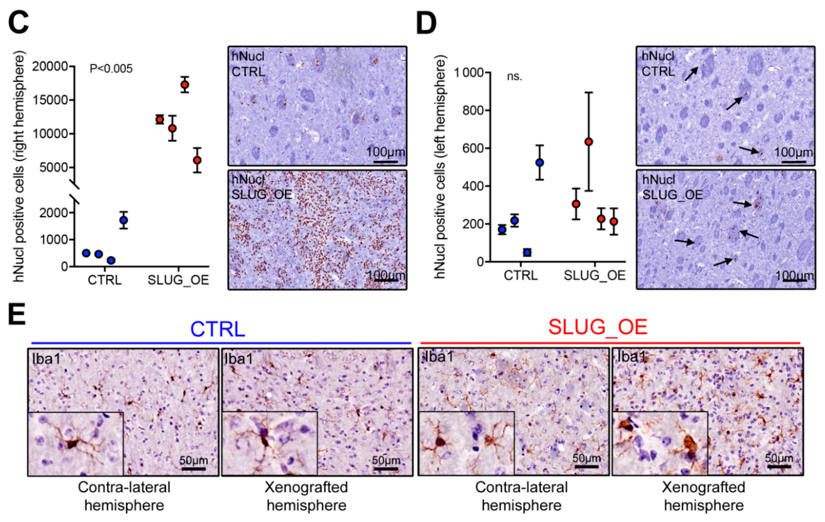 Cancers 11 01635 g006b