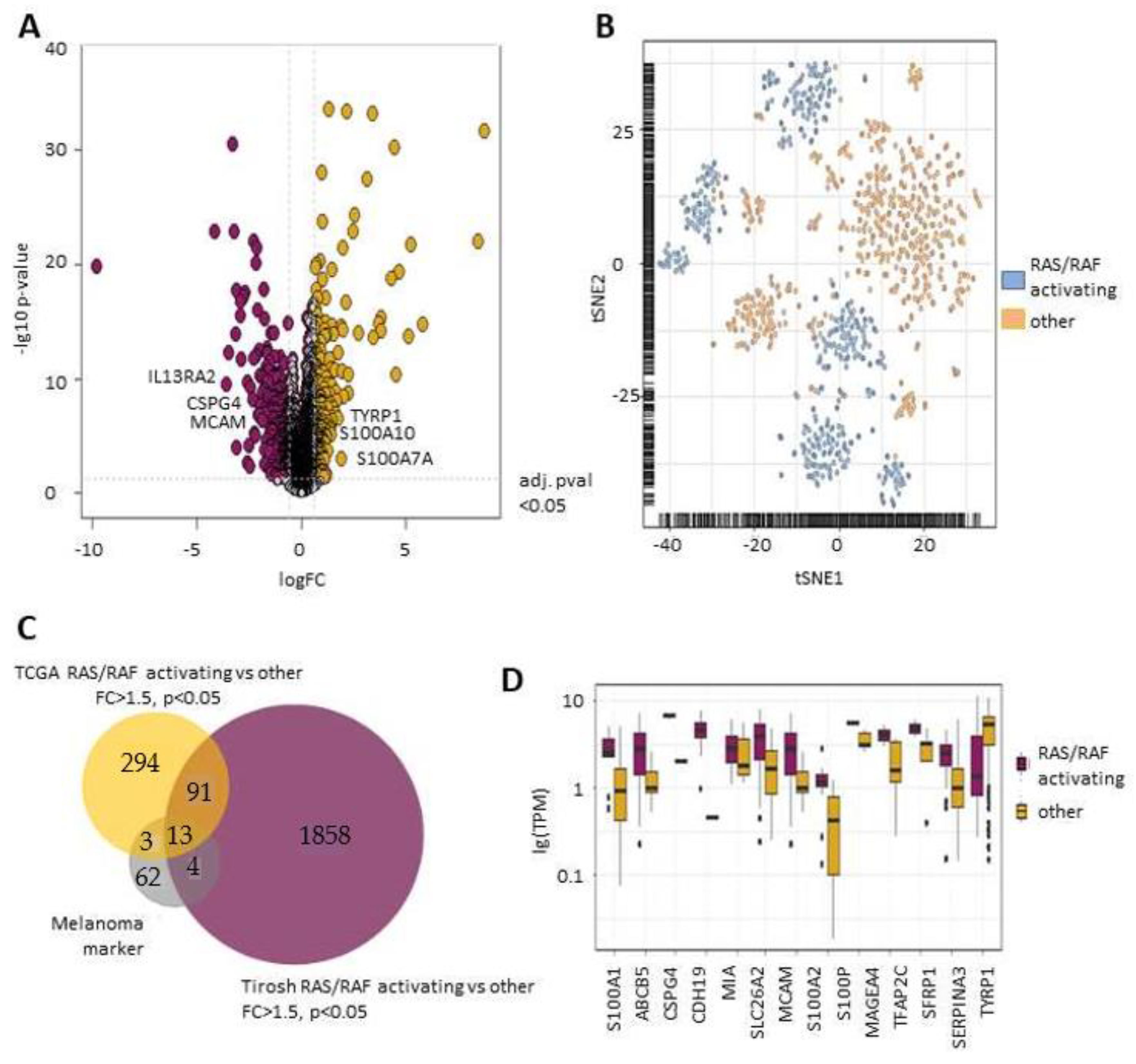 Cancers 11 01685 g001