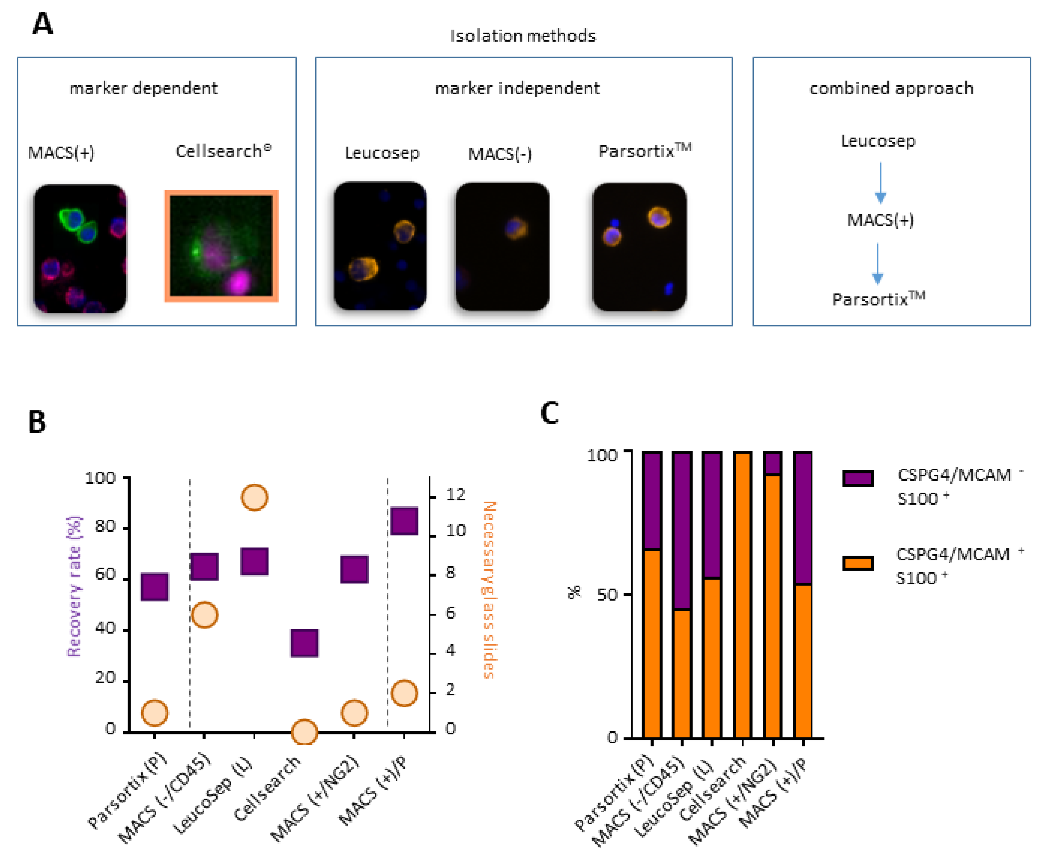 Cancers 11 01685 g002