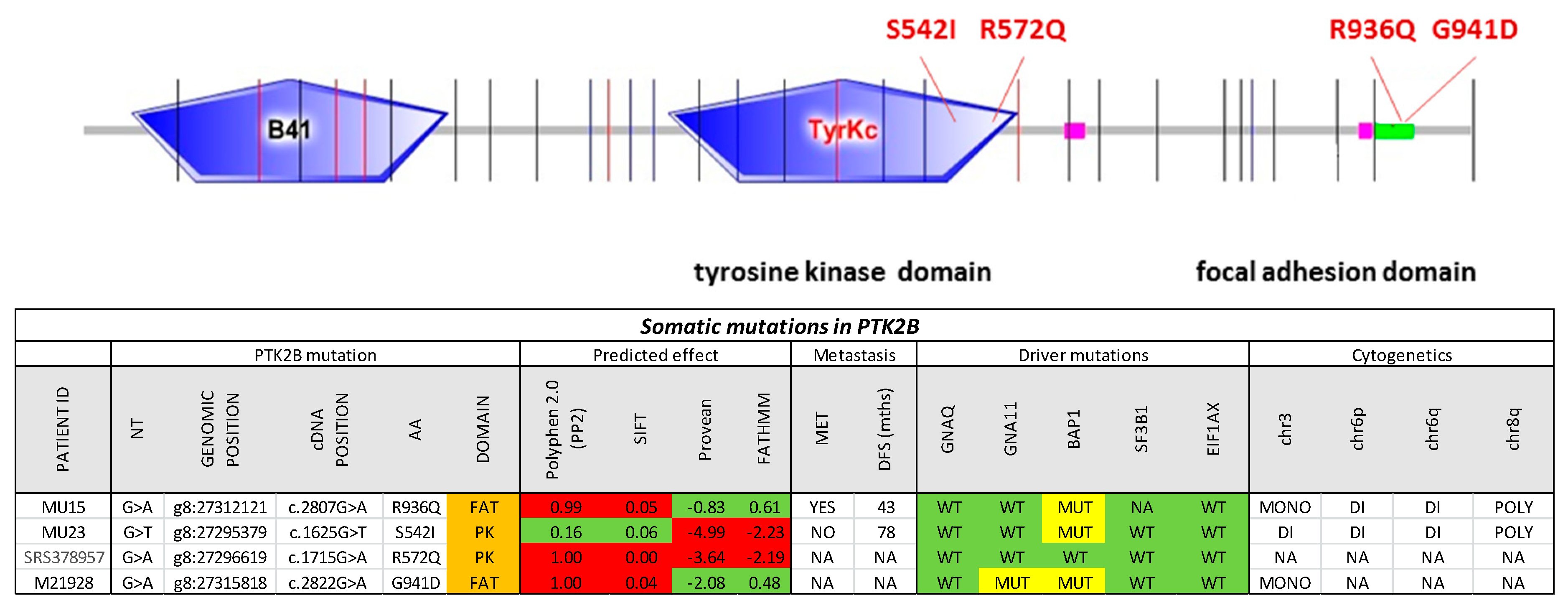 Cancers 11 01688 g003