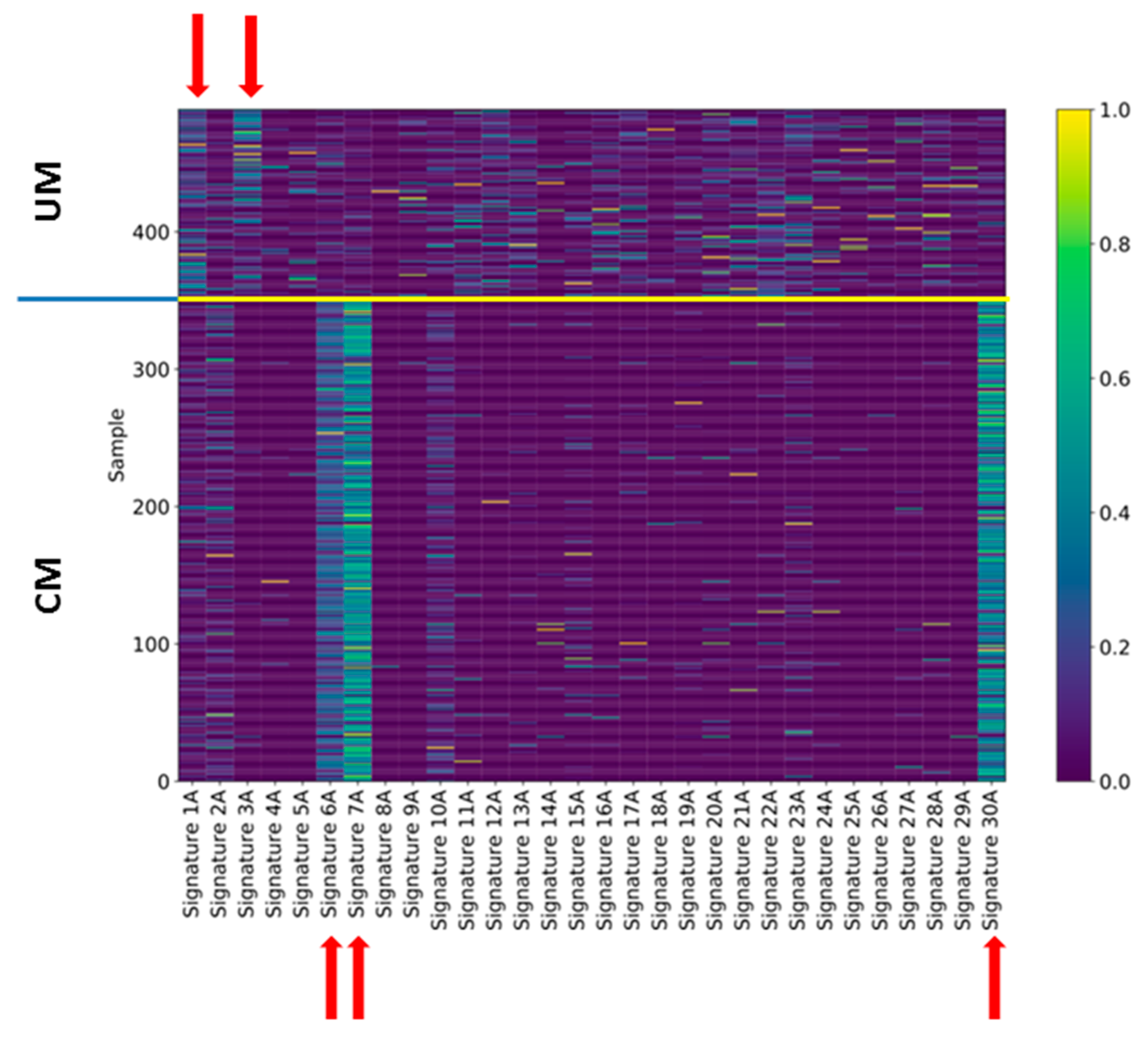 Cancers 11 01688 g004